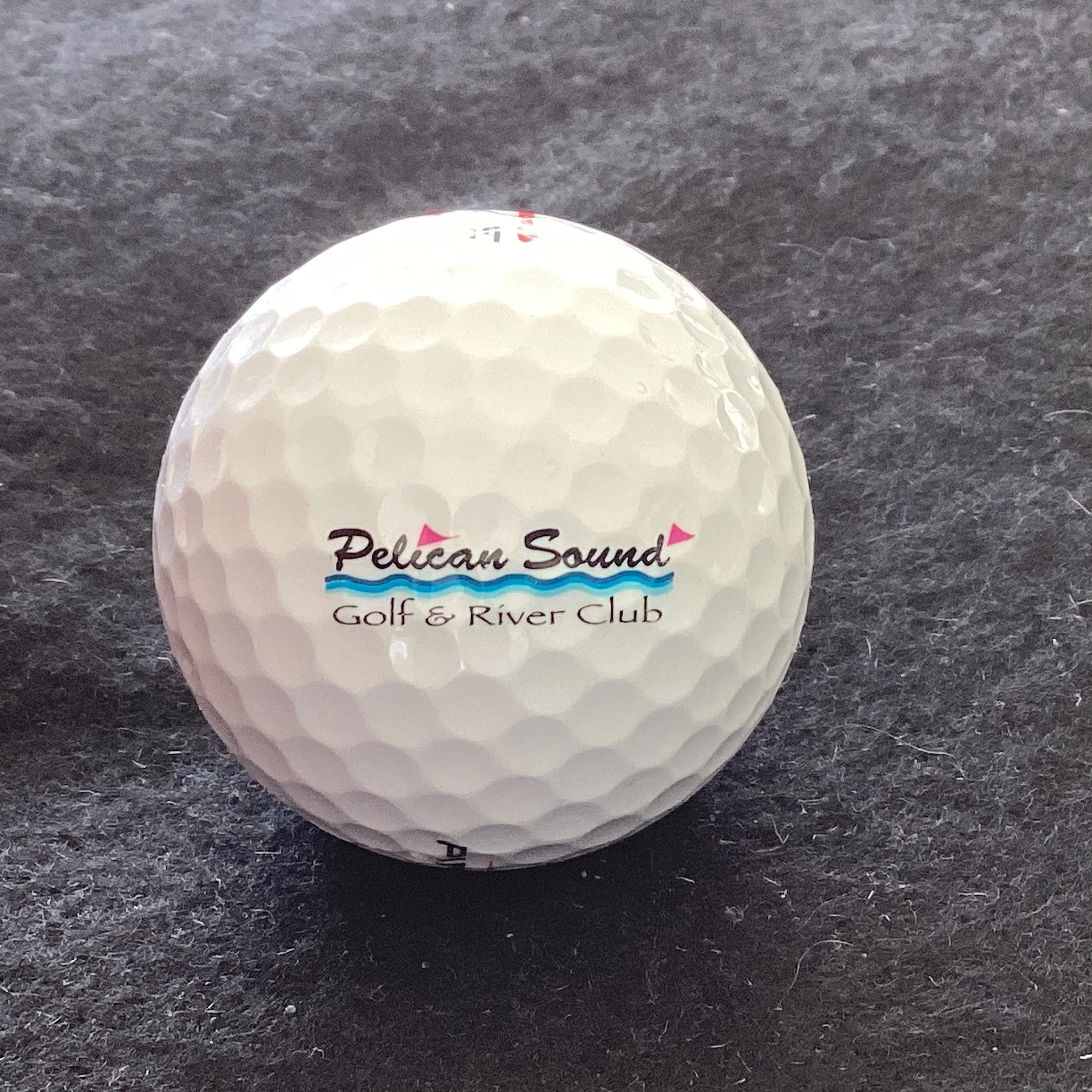 Pelican Sound Golf and River Club 