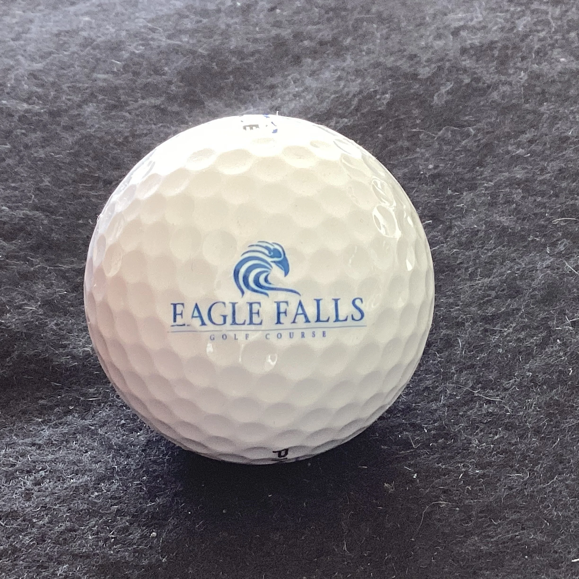 Eagle Falls Golf Course 