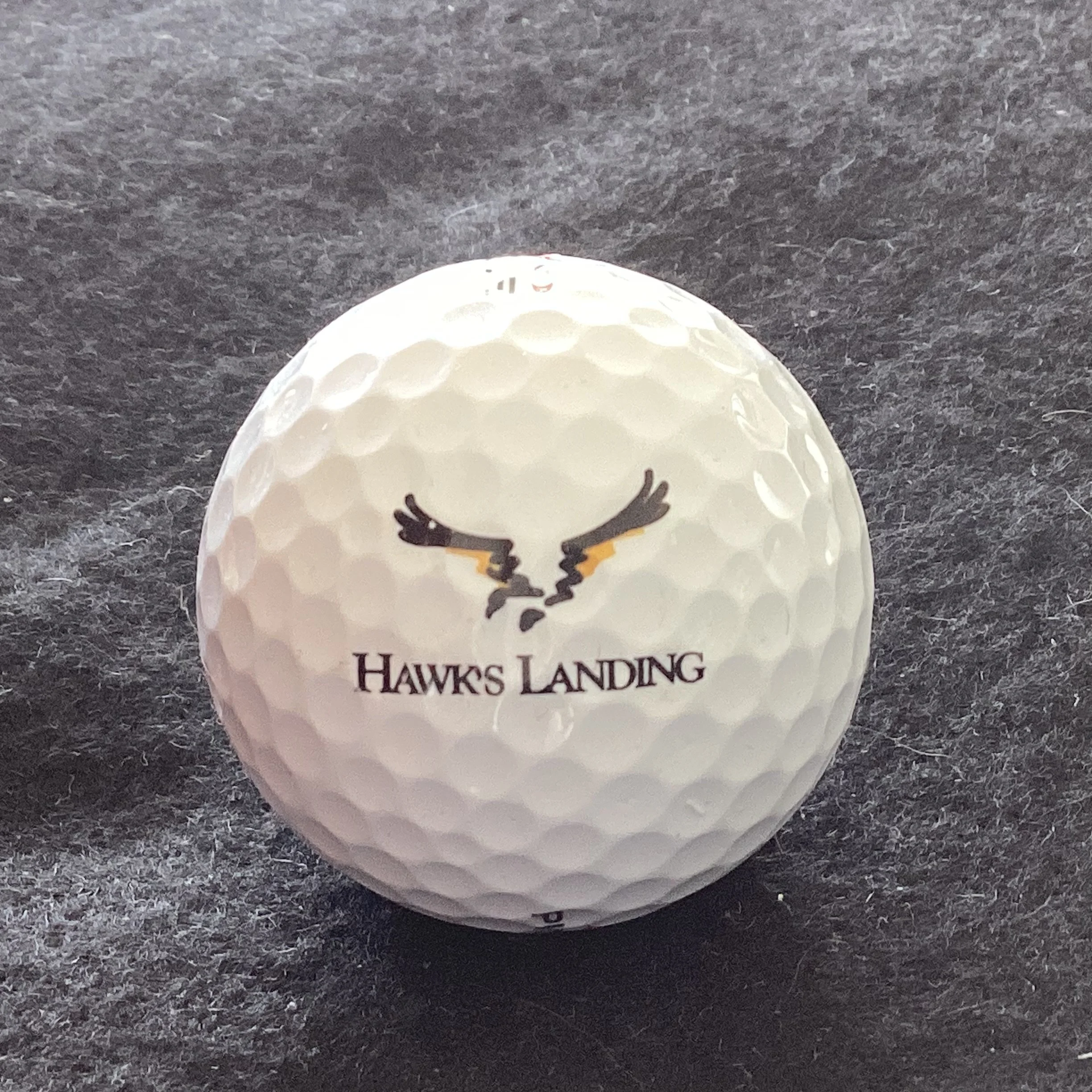 Hawk’s Landing Golf Club 