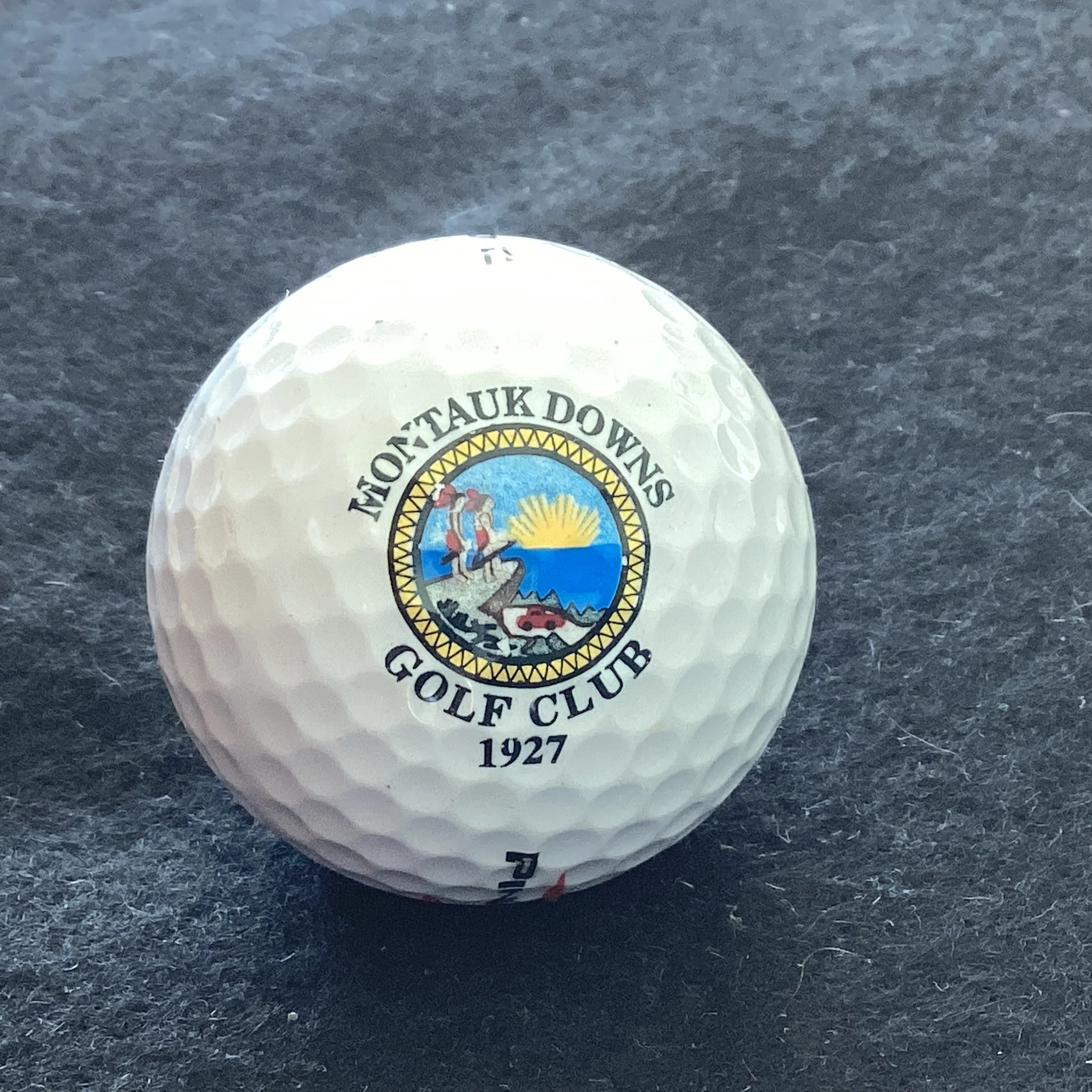 Montauk Downs Golf Club 