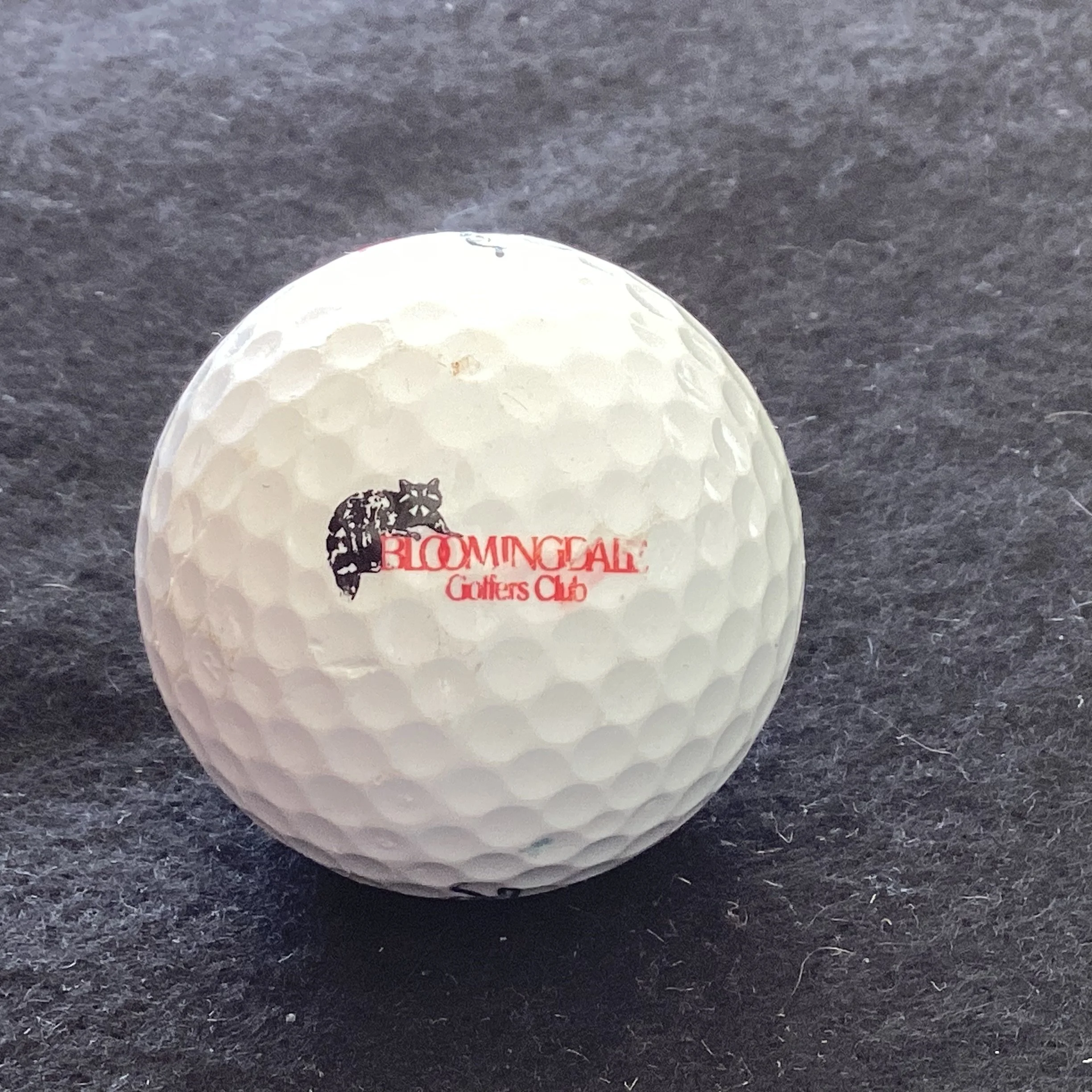 Bloomingdale Golfers Club 