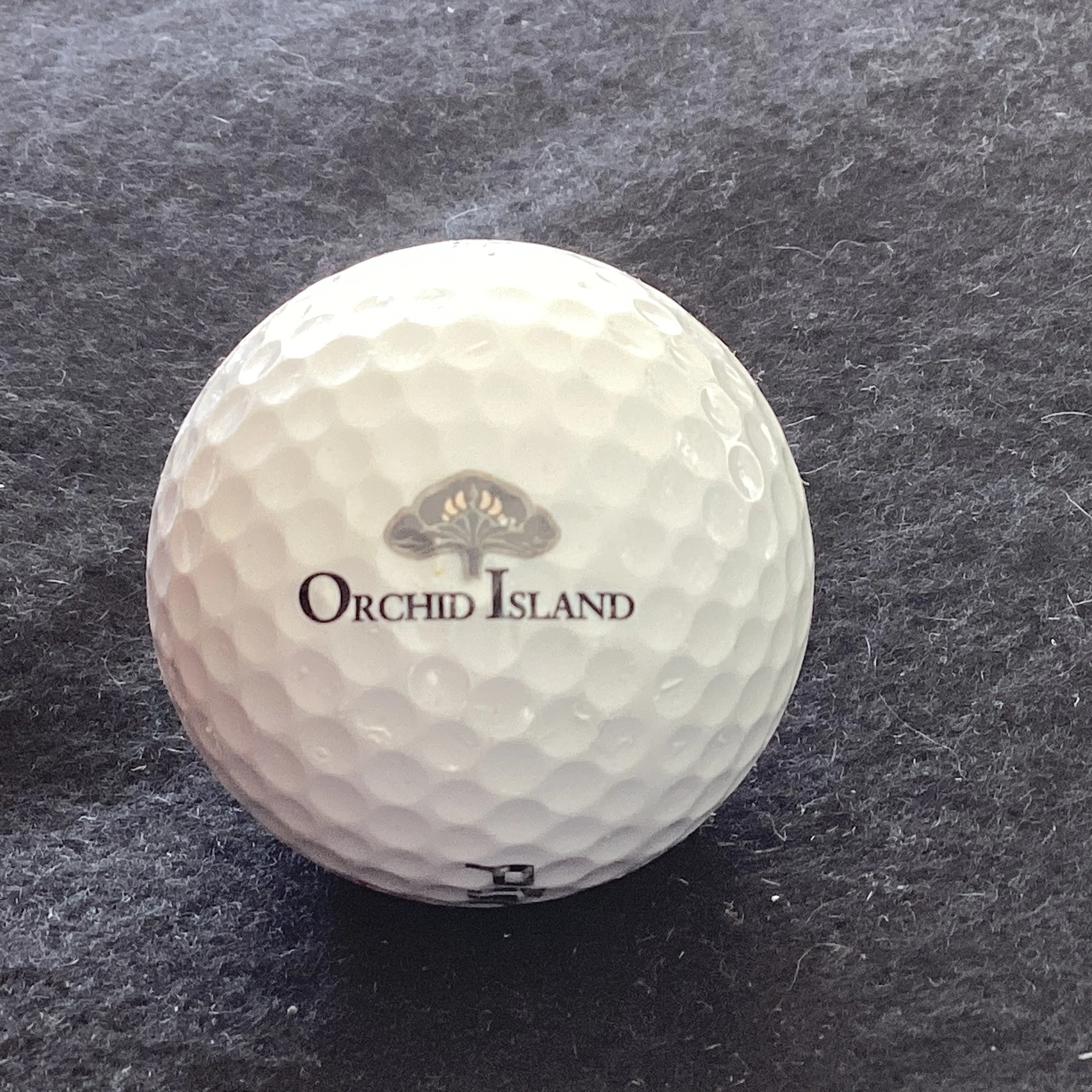 Orchid Island Golf and Beach Club 