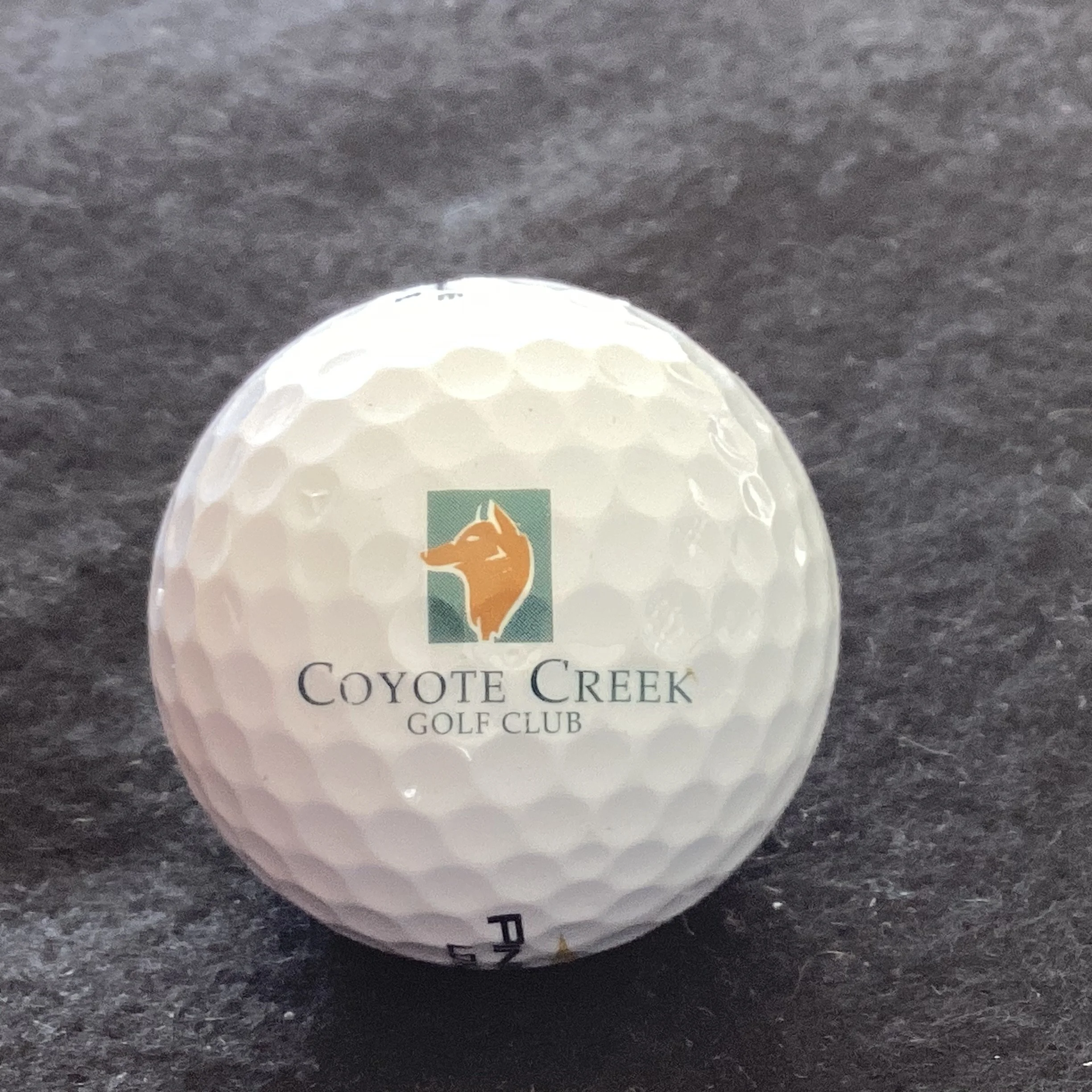Coyote Creek Golf Club 