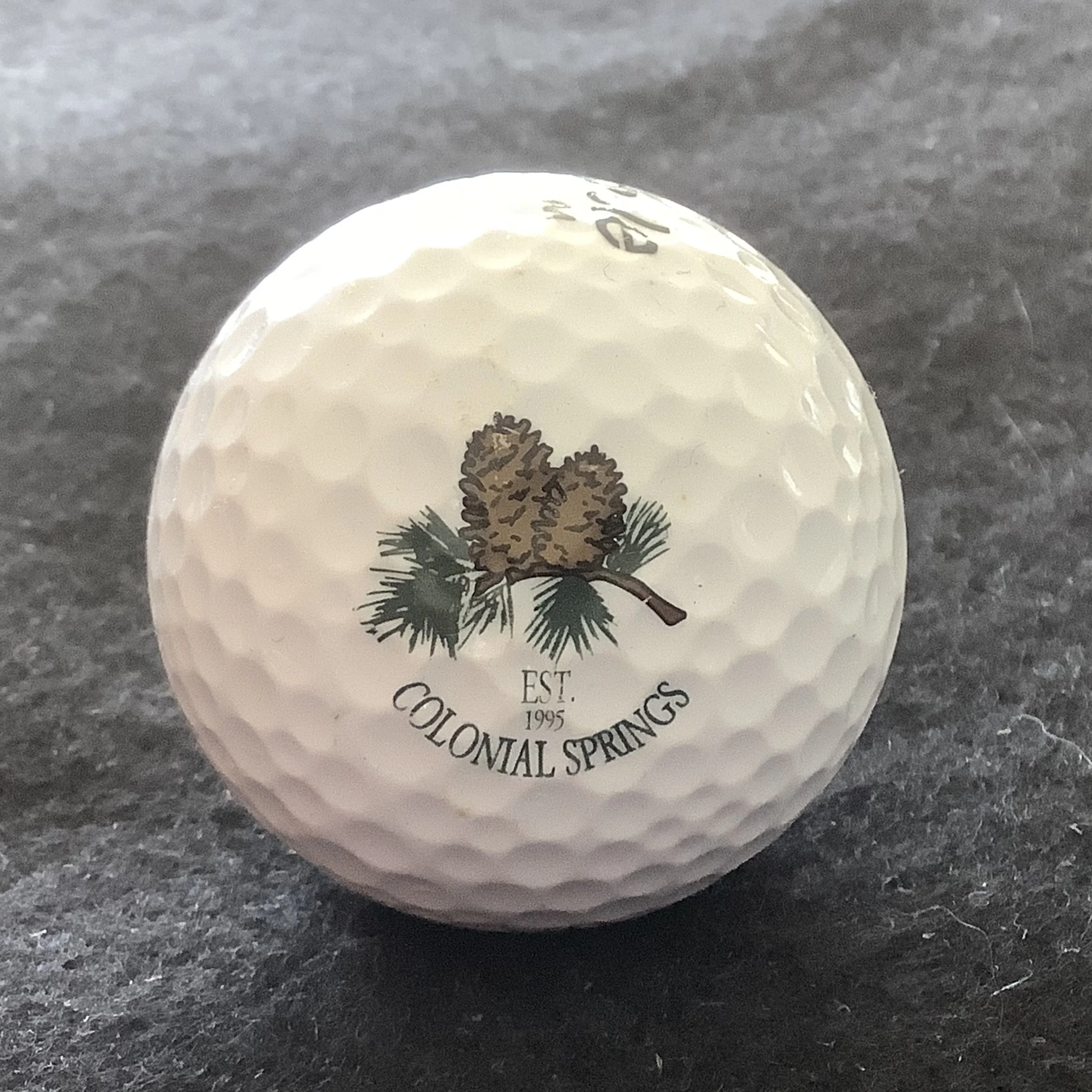 Colonial Springs Golf Club 