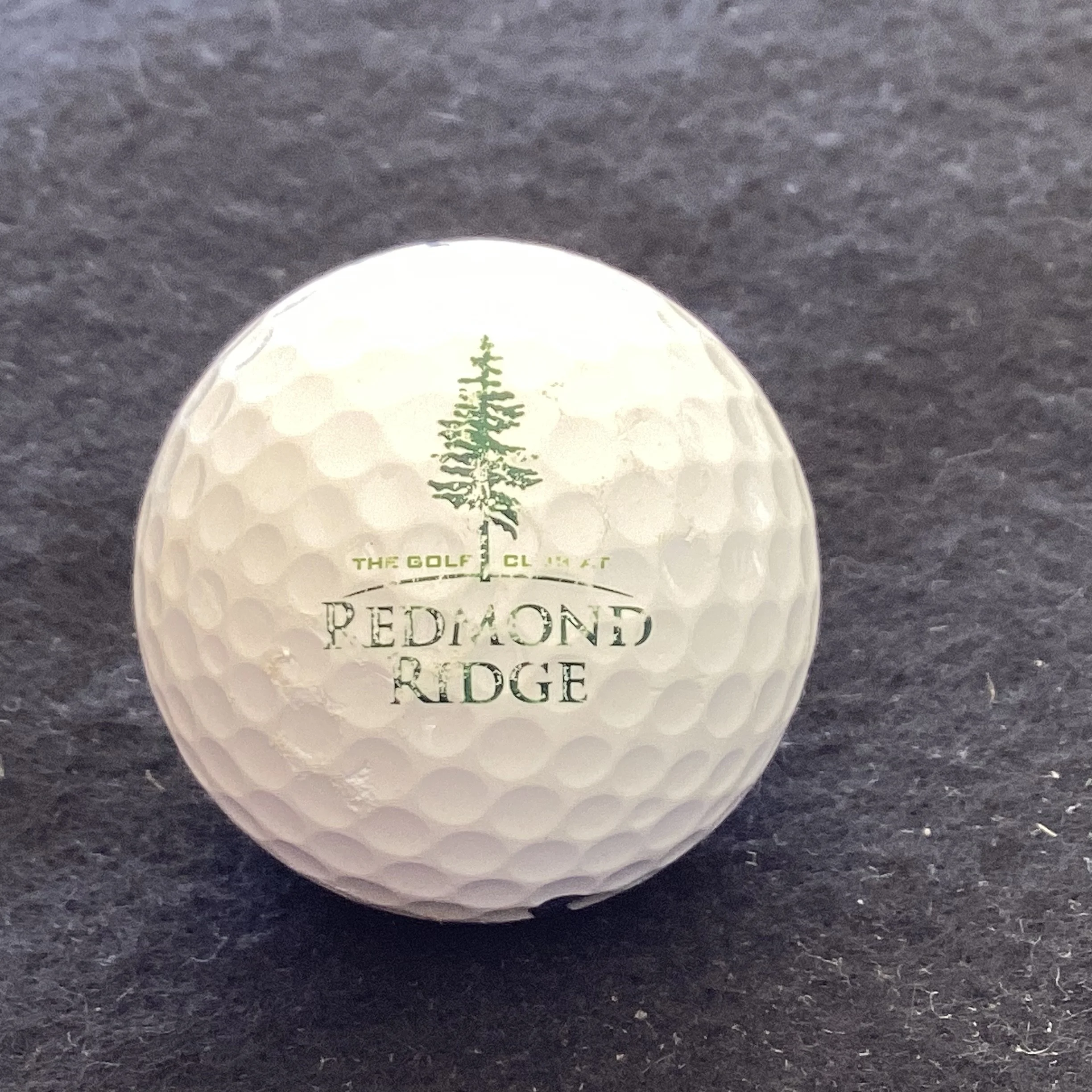 Redmond Ridge - The Golf Club at Redmond Ridge 