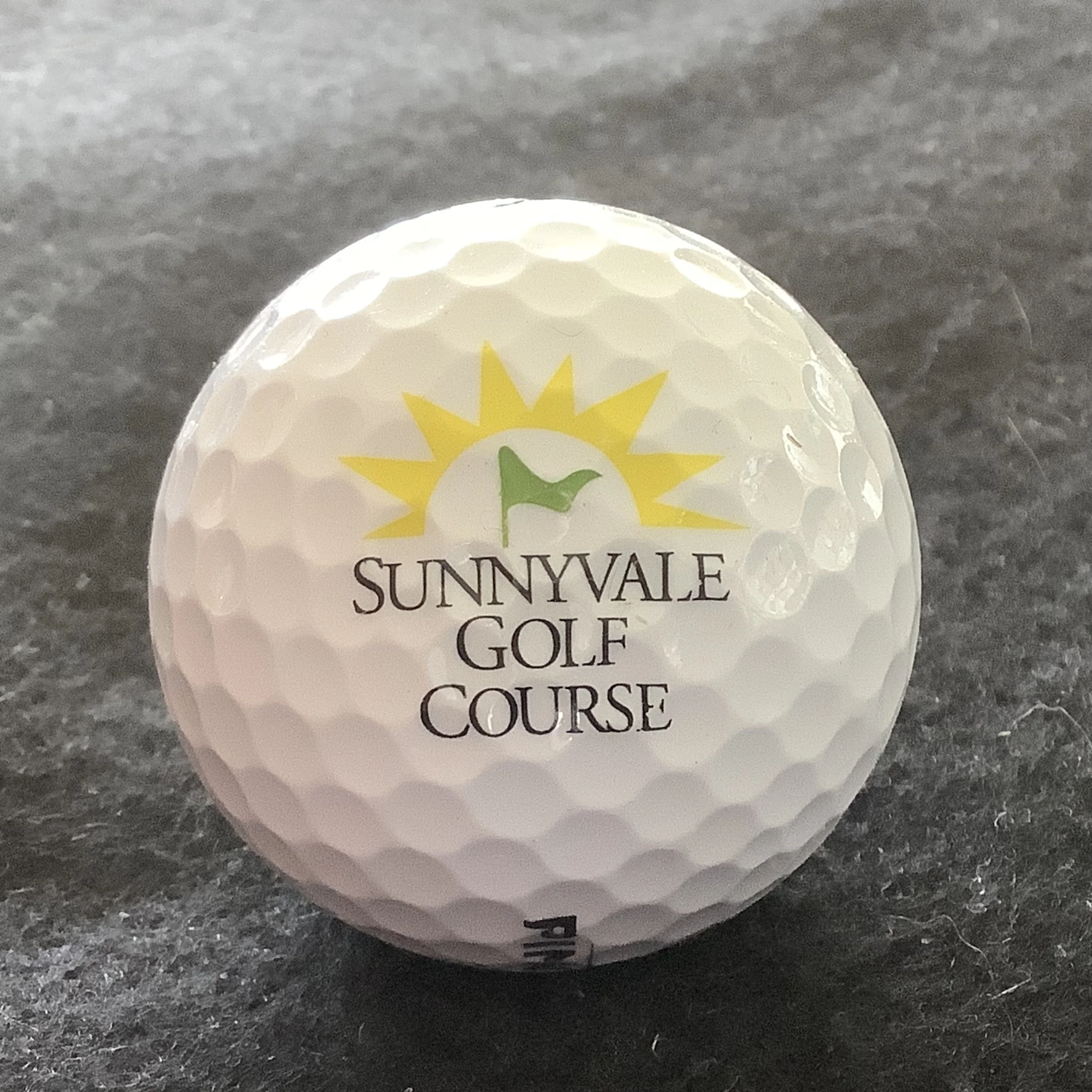 Sunnyvale Golf Course 