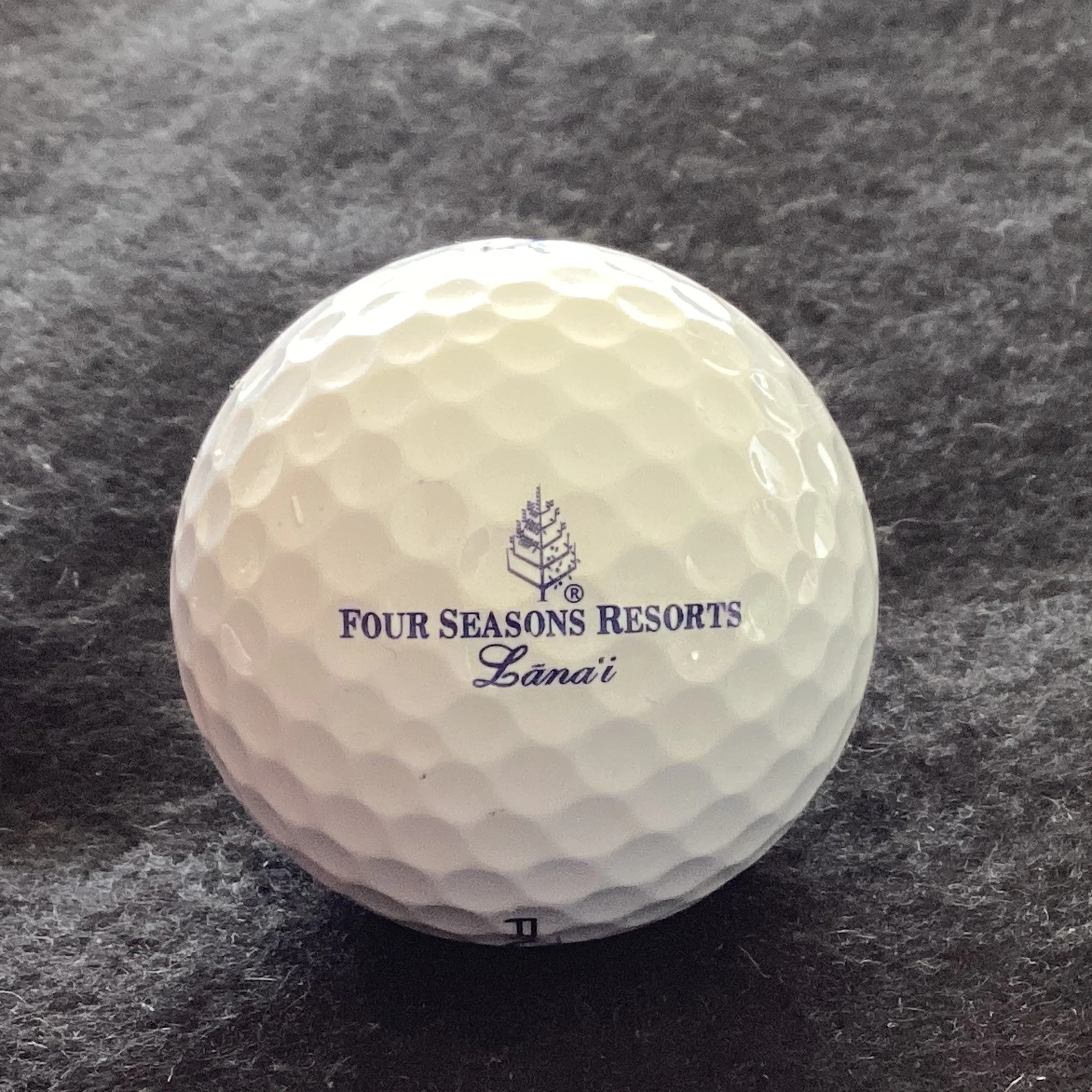 Four Seasons Resorts Lana’i