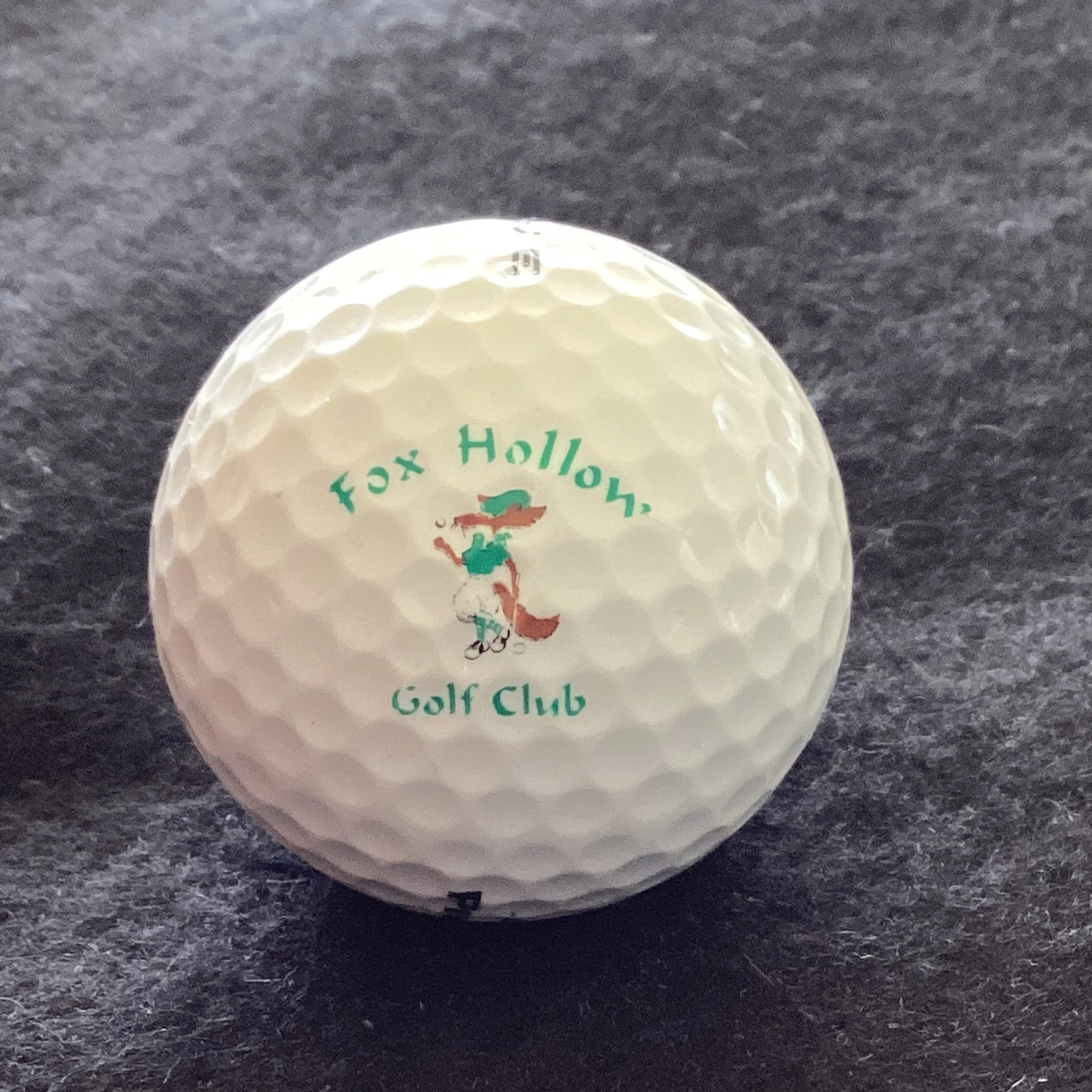 Fox Hollow Golf Club 