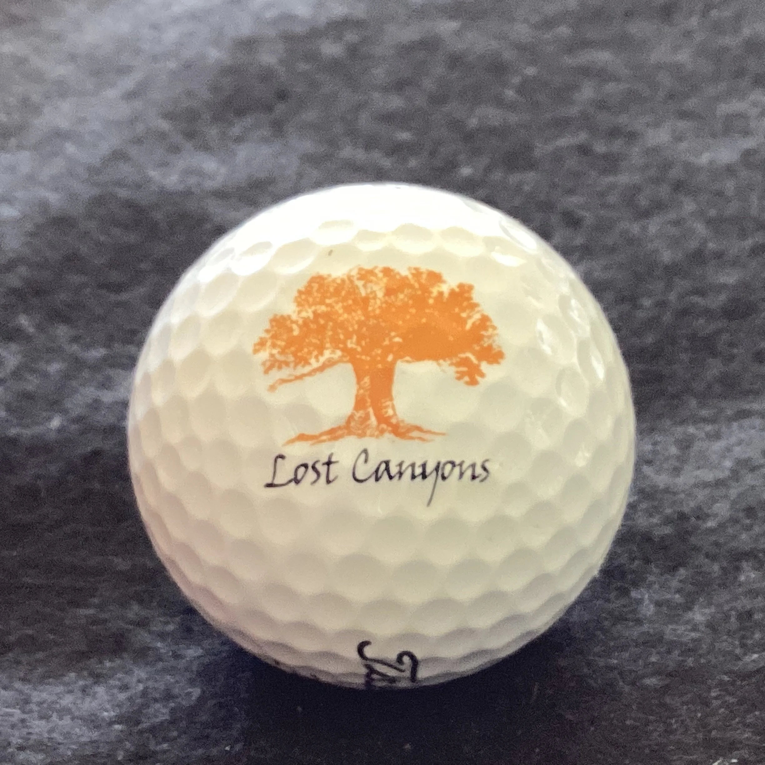 Lost Canyons Golf Course 