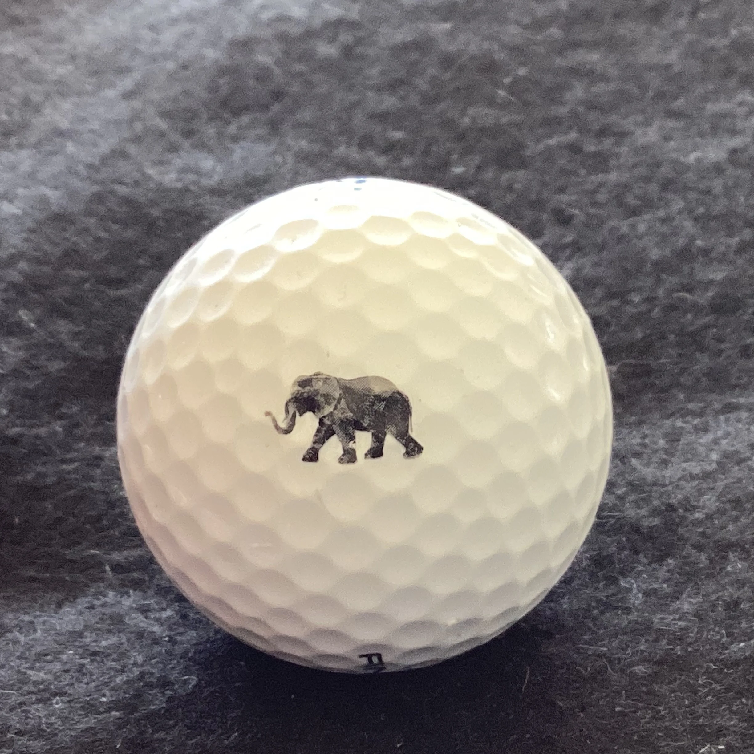 Wanderers - The Wanderers Club