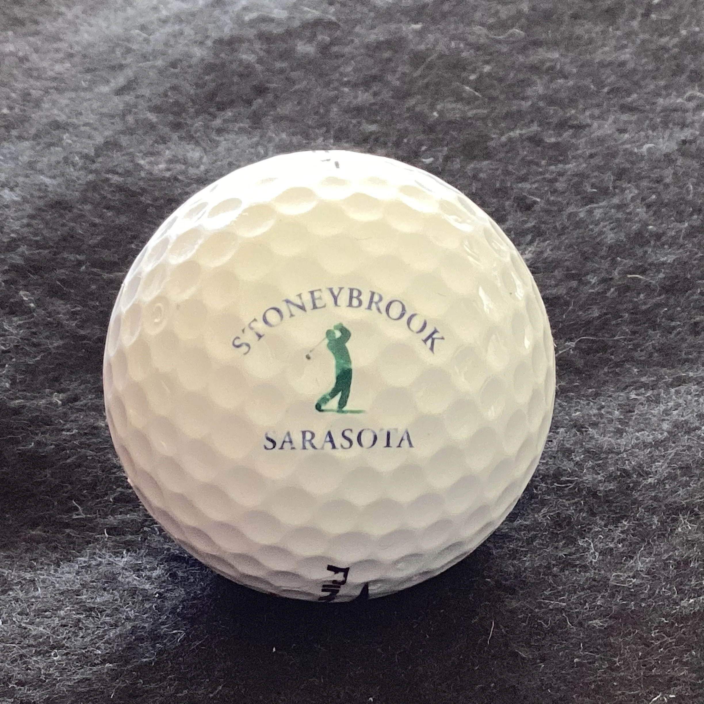 Stoneybrook Golf and Country Club 