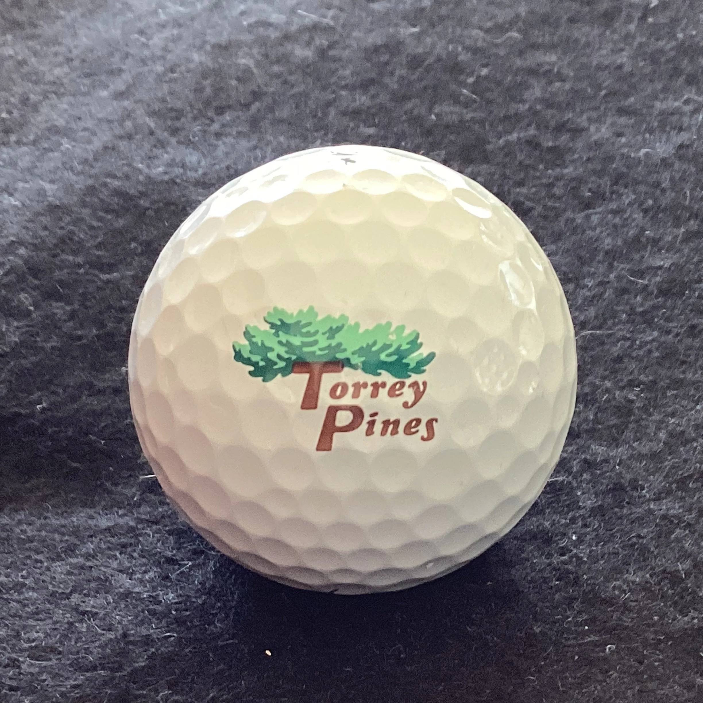 Torrey Pines Golf Club 