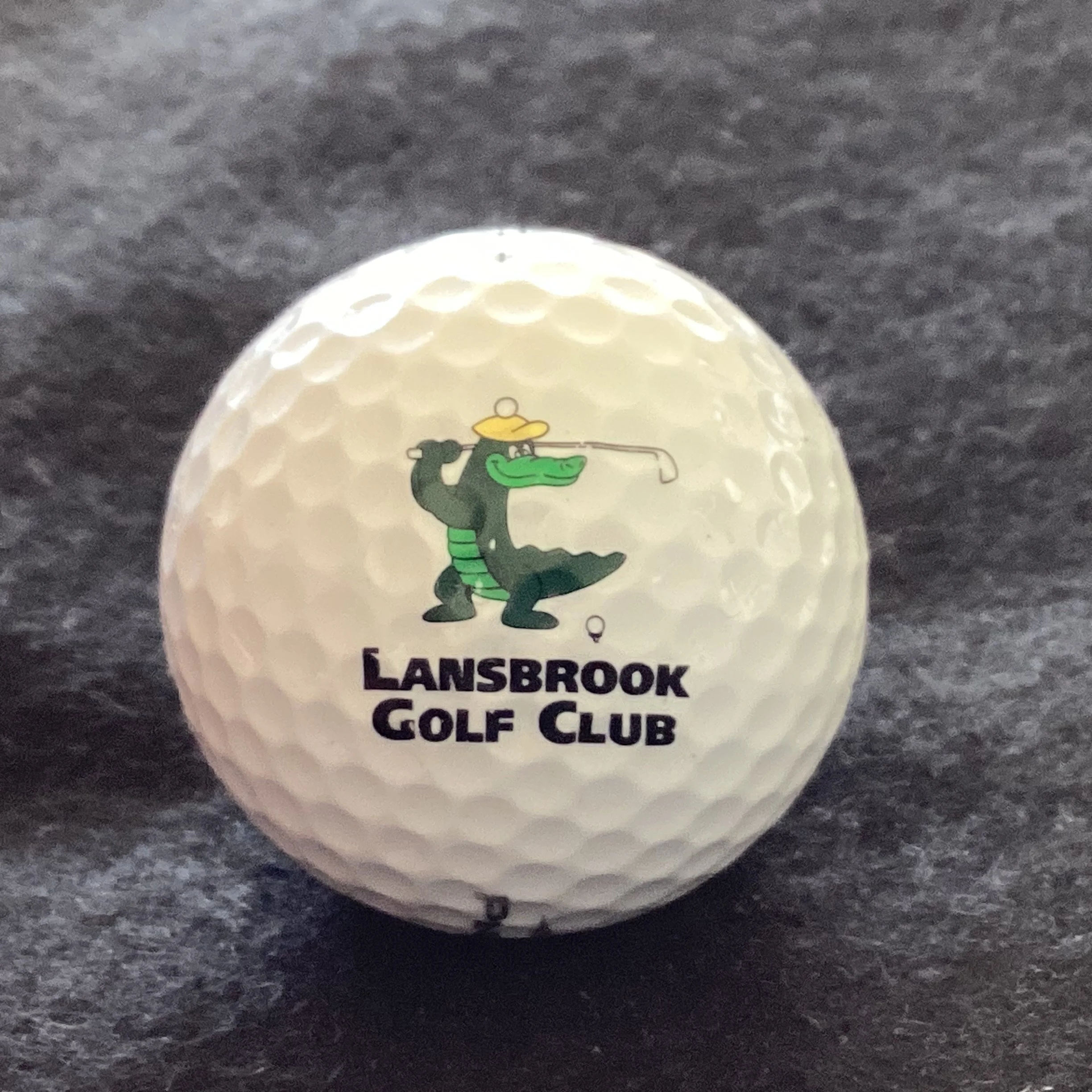 Lansbrook Golf Club 