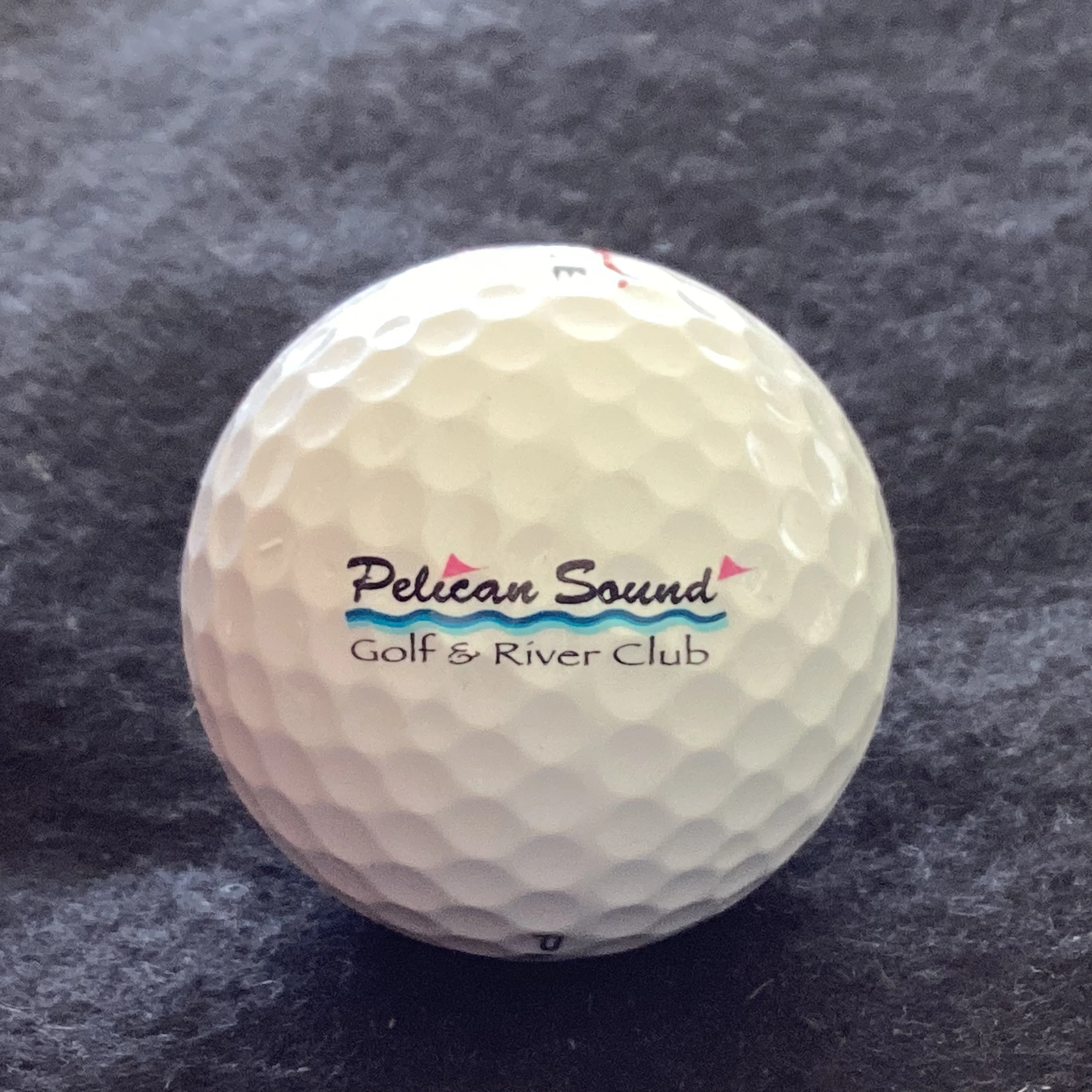 Pelican Sound Golf and River Club 