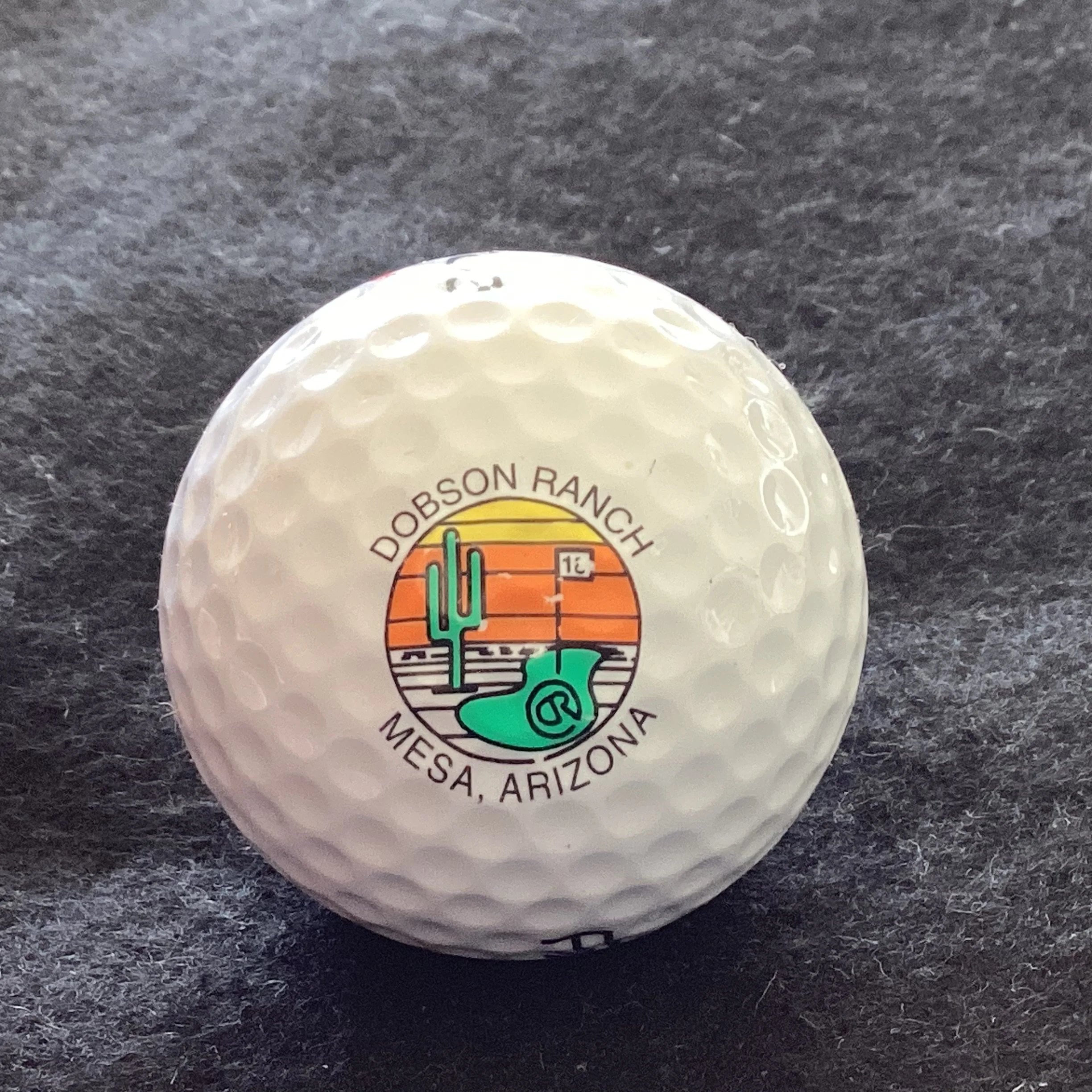 Dobson Ranch Golf Course 