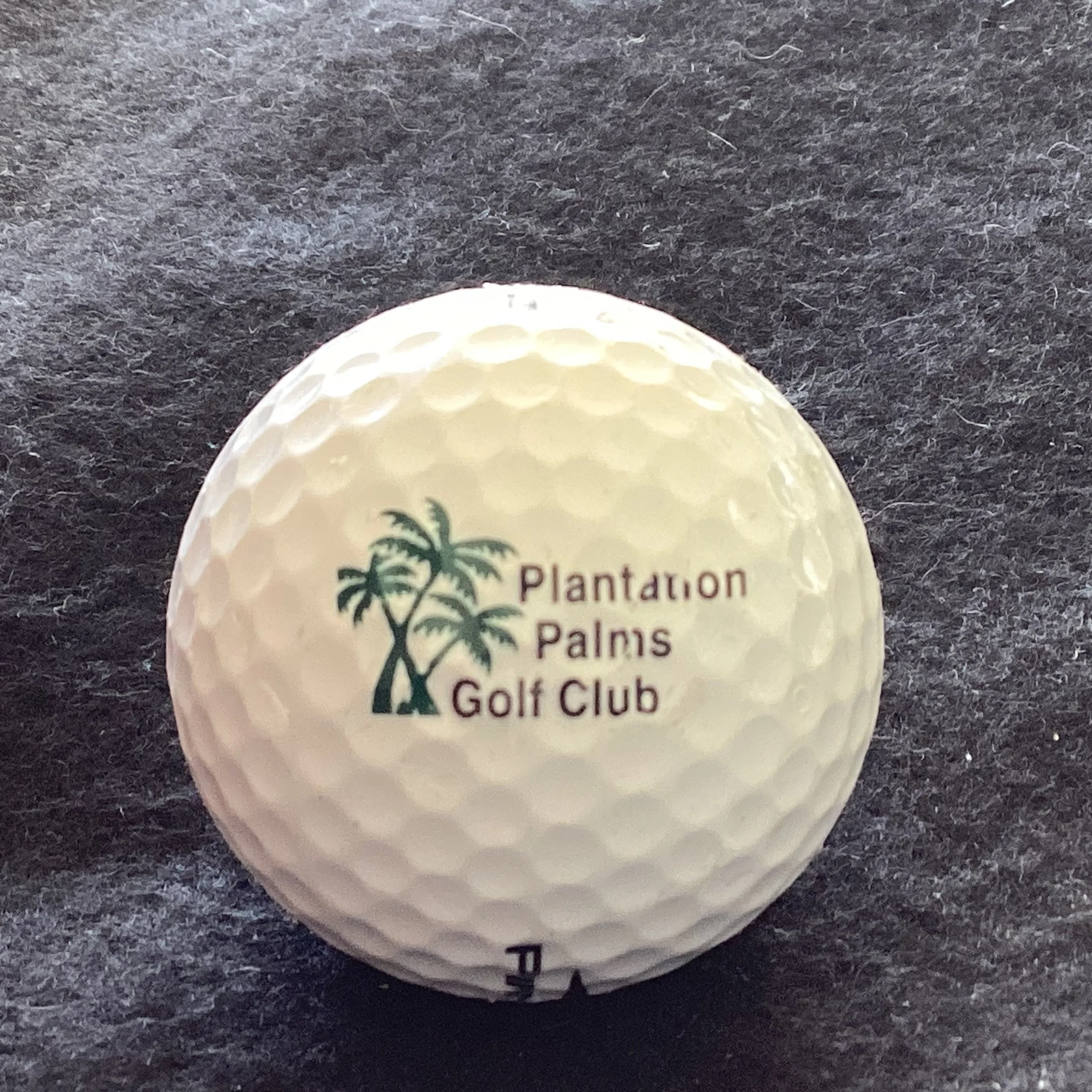 Plantation Palms Golf Club 
