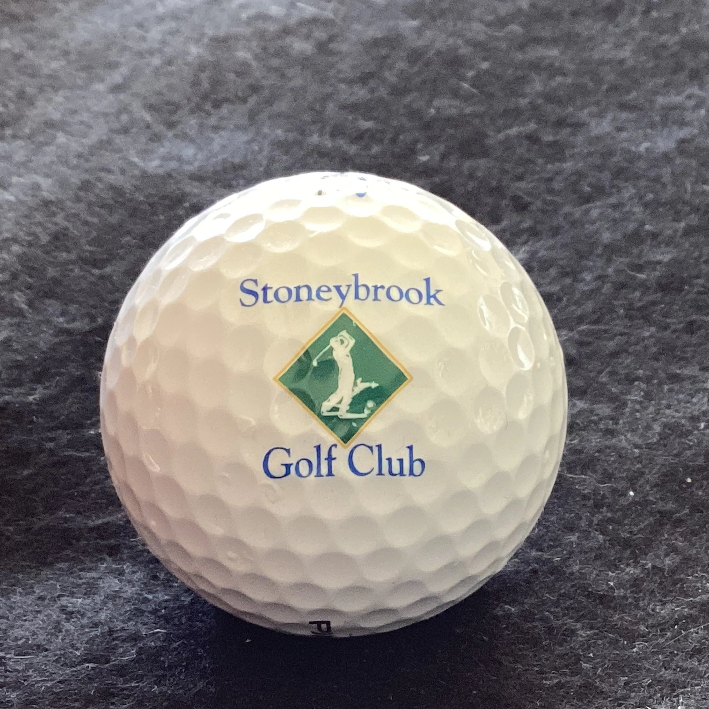 Stoneybrook Golf Club 