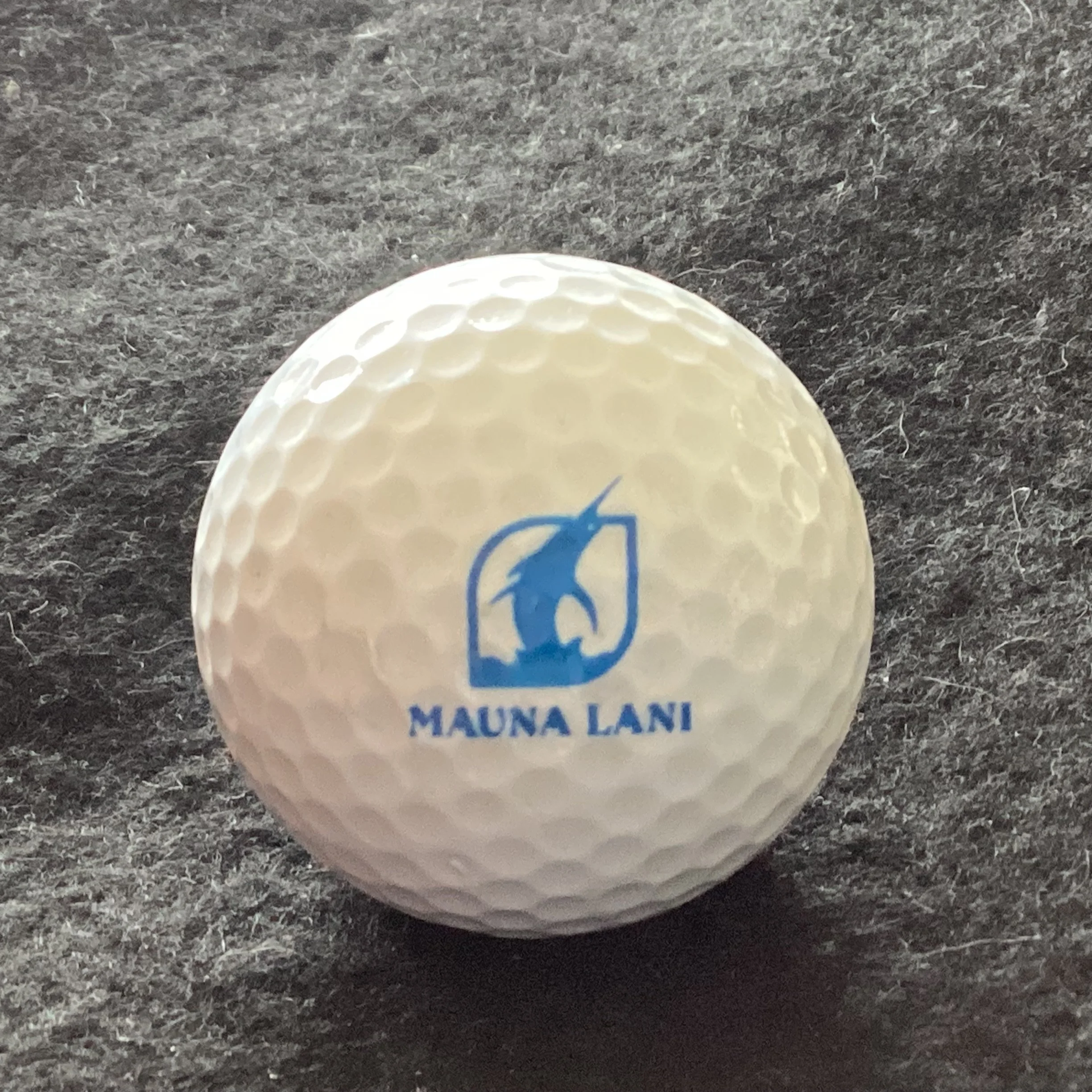 Mauna Lani Golf Course 