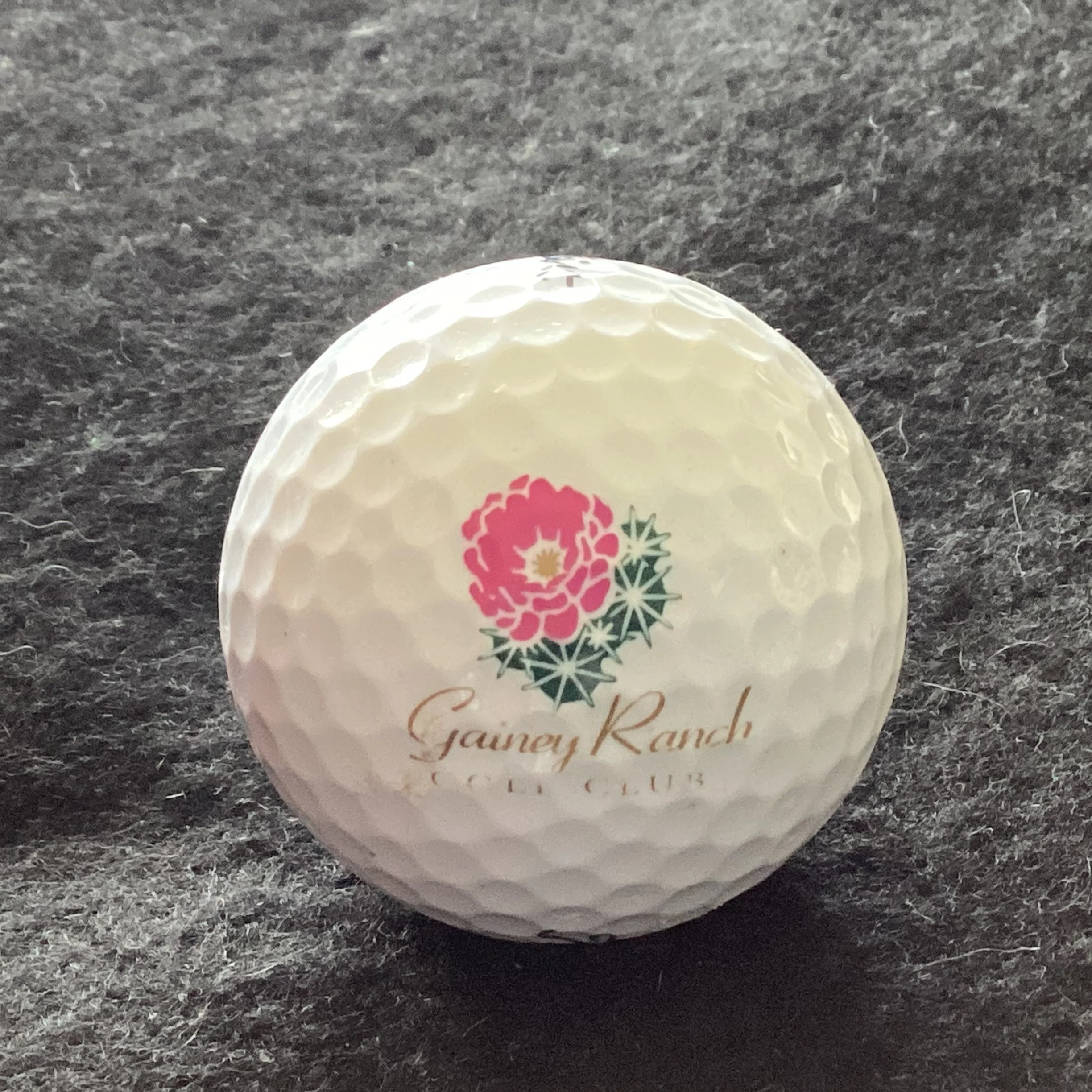 Gainey Ranch Golf Club 