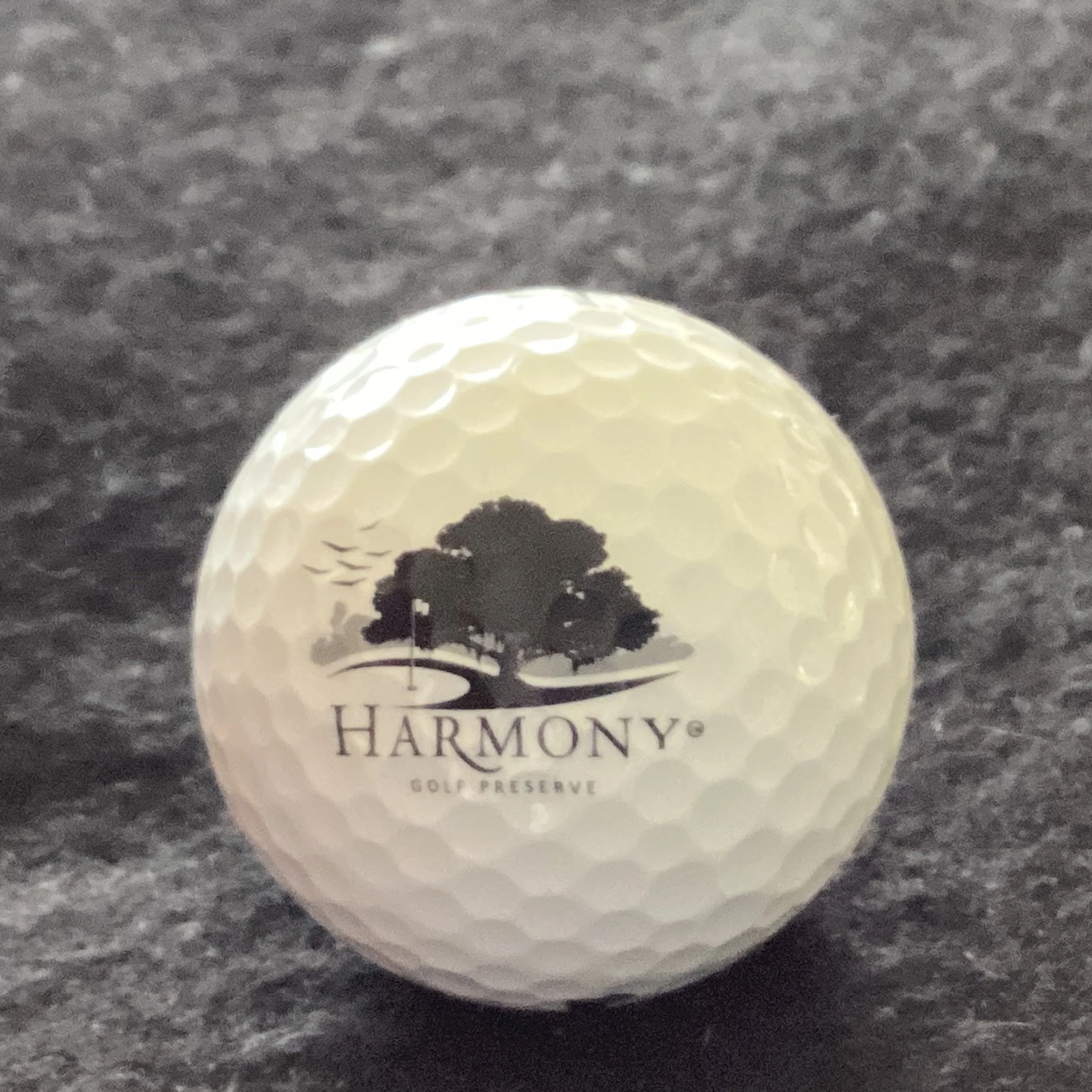 Harmony Golf Preserve 