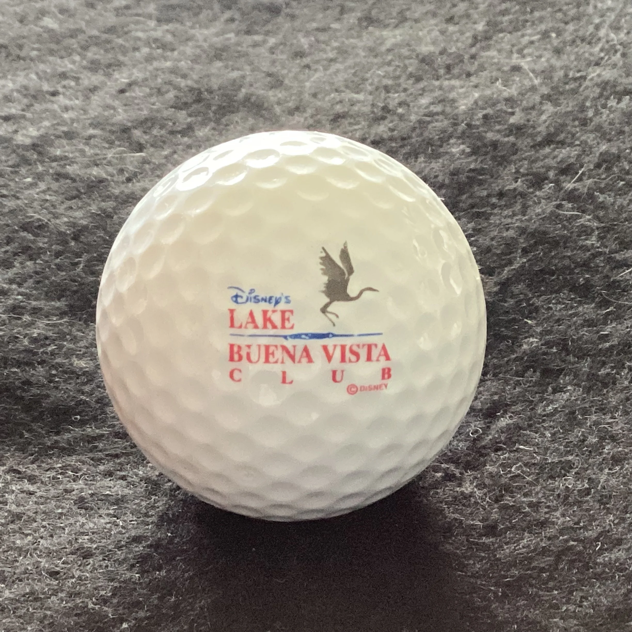 Disney’s Lake Buena Vista Club 