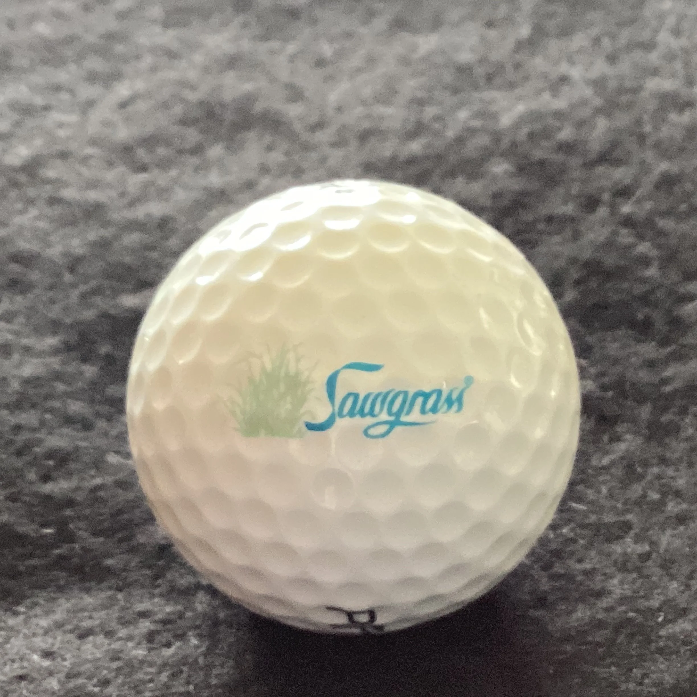 Sawgrass Country Club 