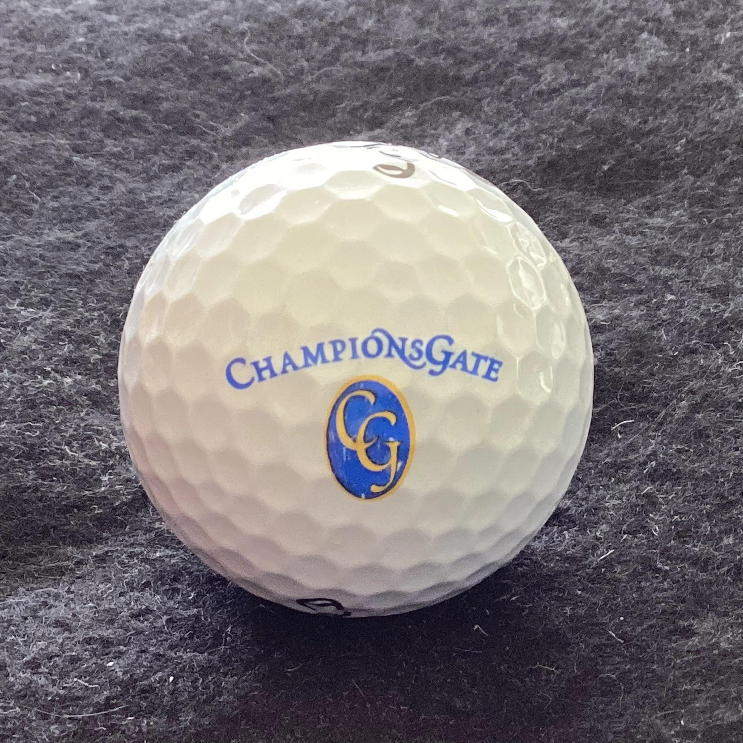 Champions Gate Golf Course 