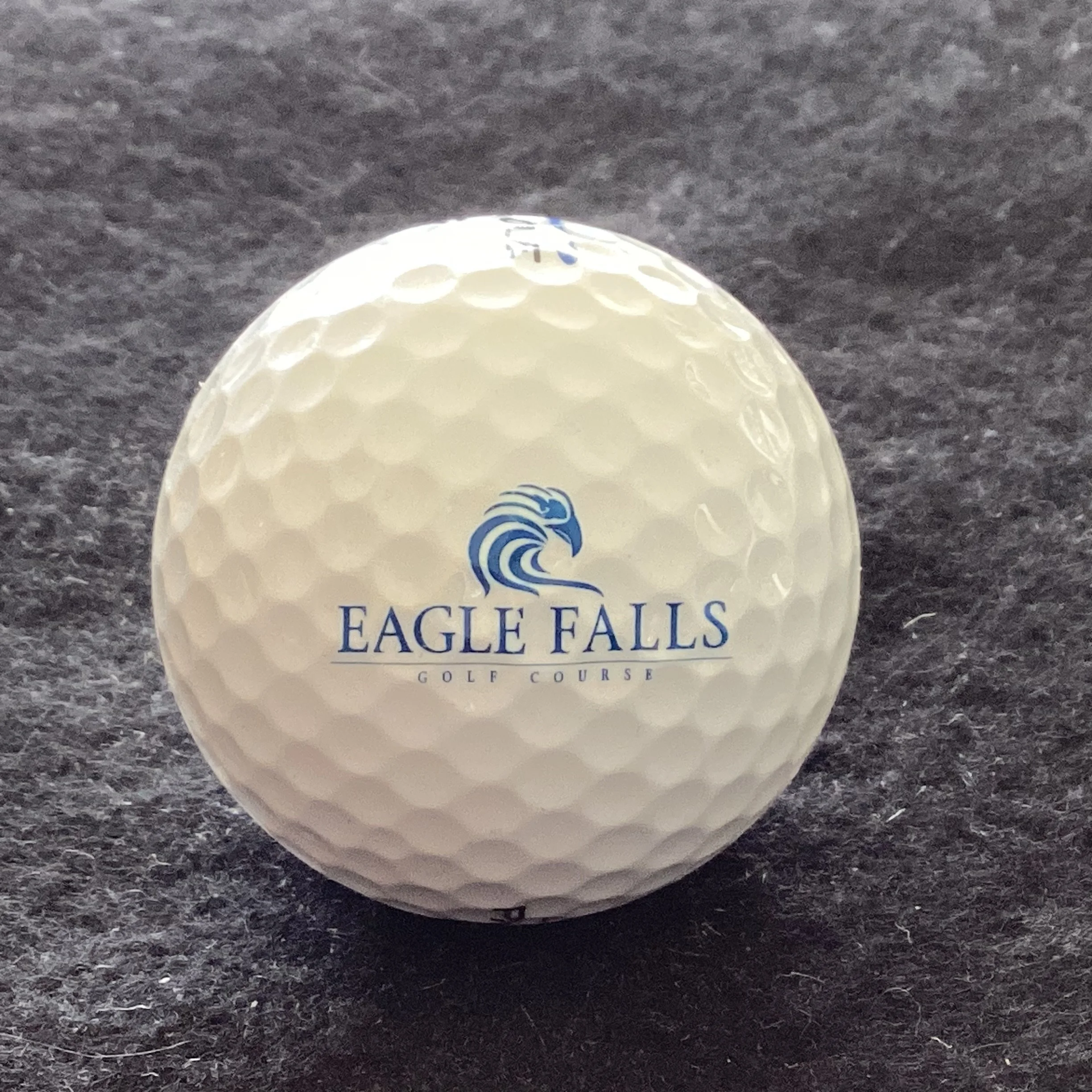 Eagle Falls Golf Course 
