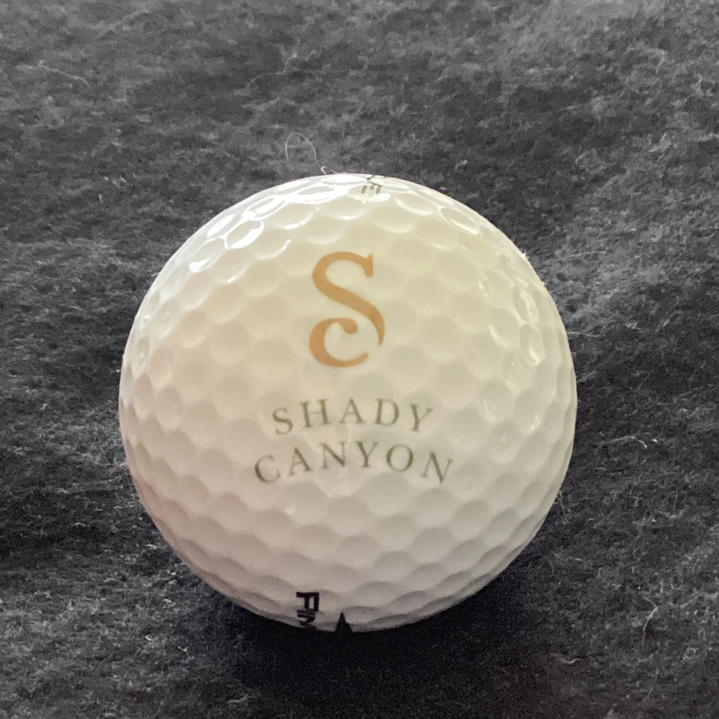 Shady Canyon Golf Club 