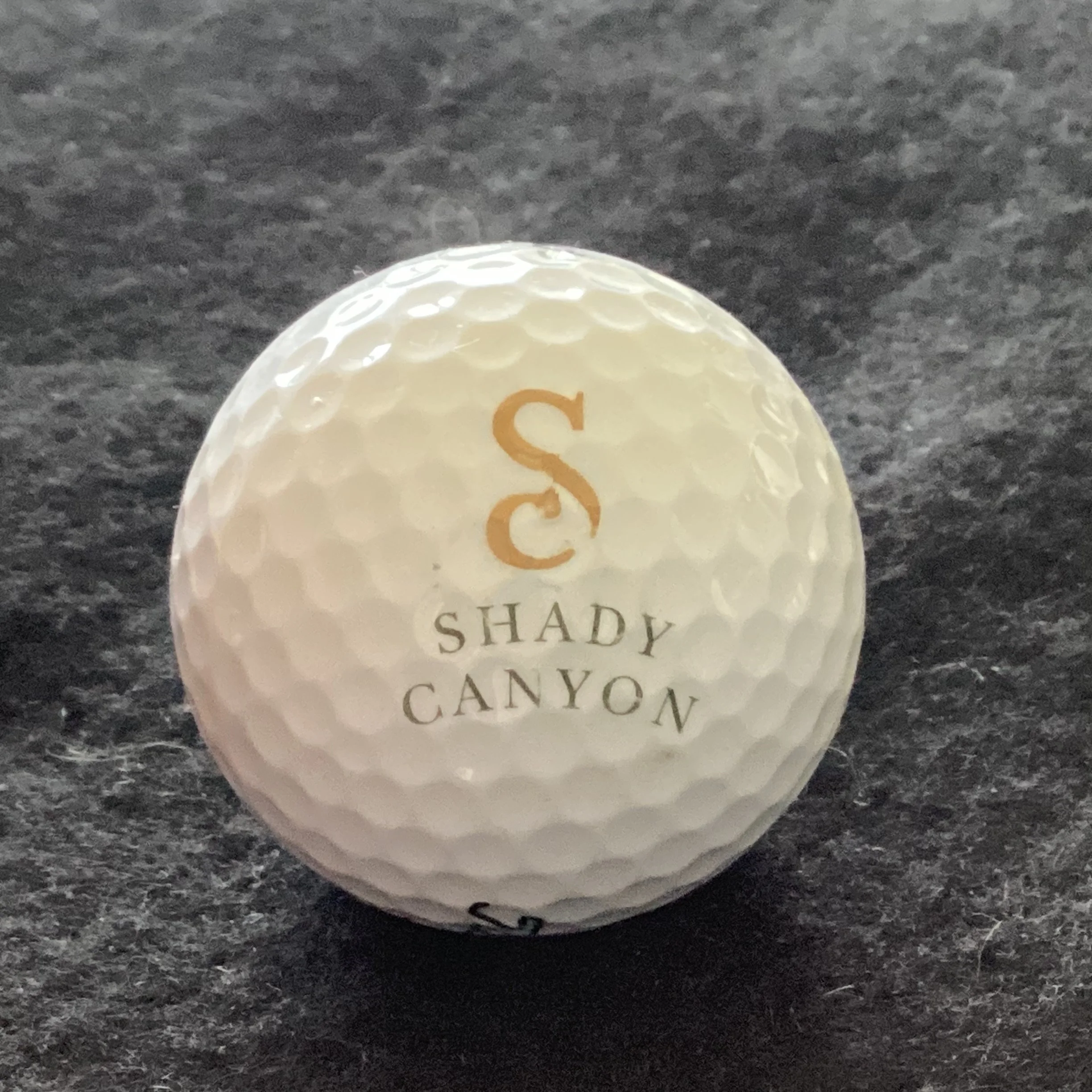 Shady Canyon Golf Club 
