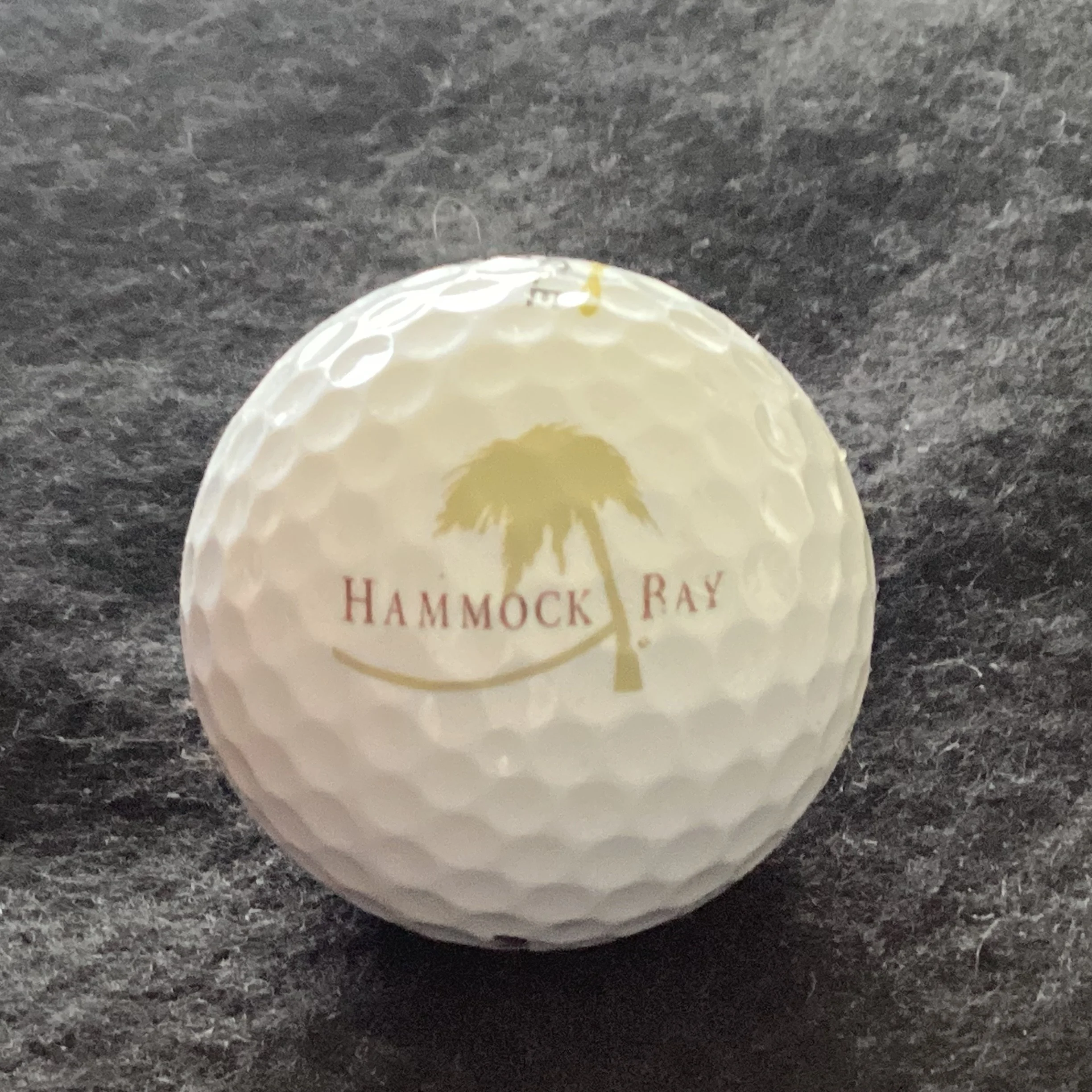 Hammock Bay Golf and Country Club 