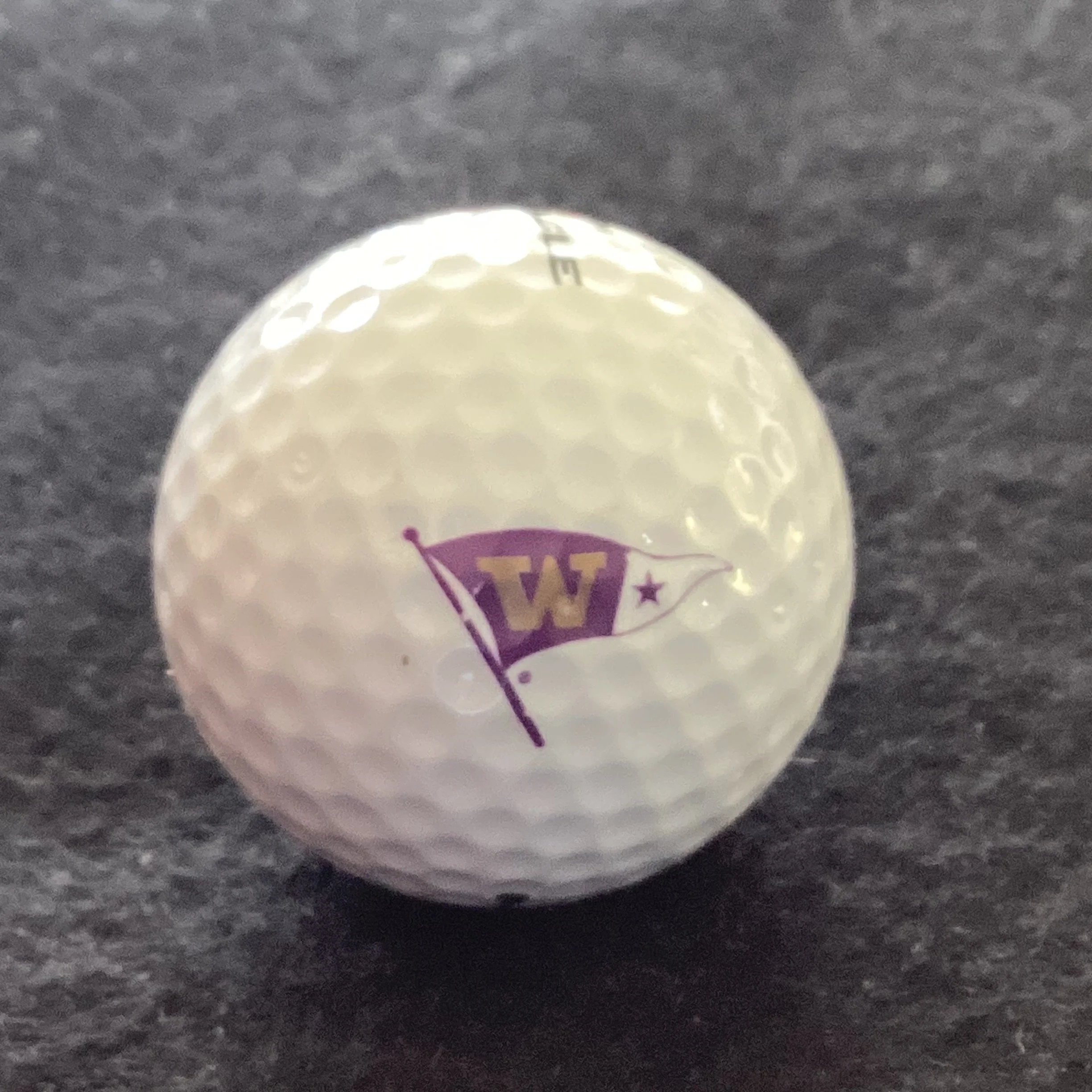 Washington National Golf Club 