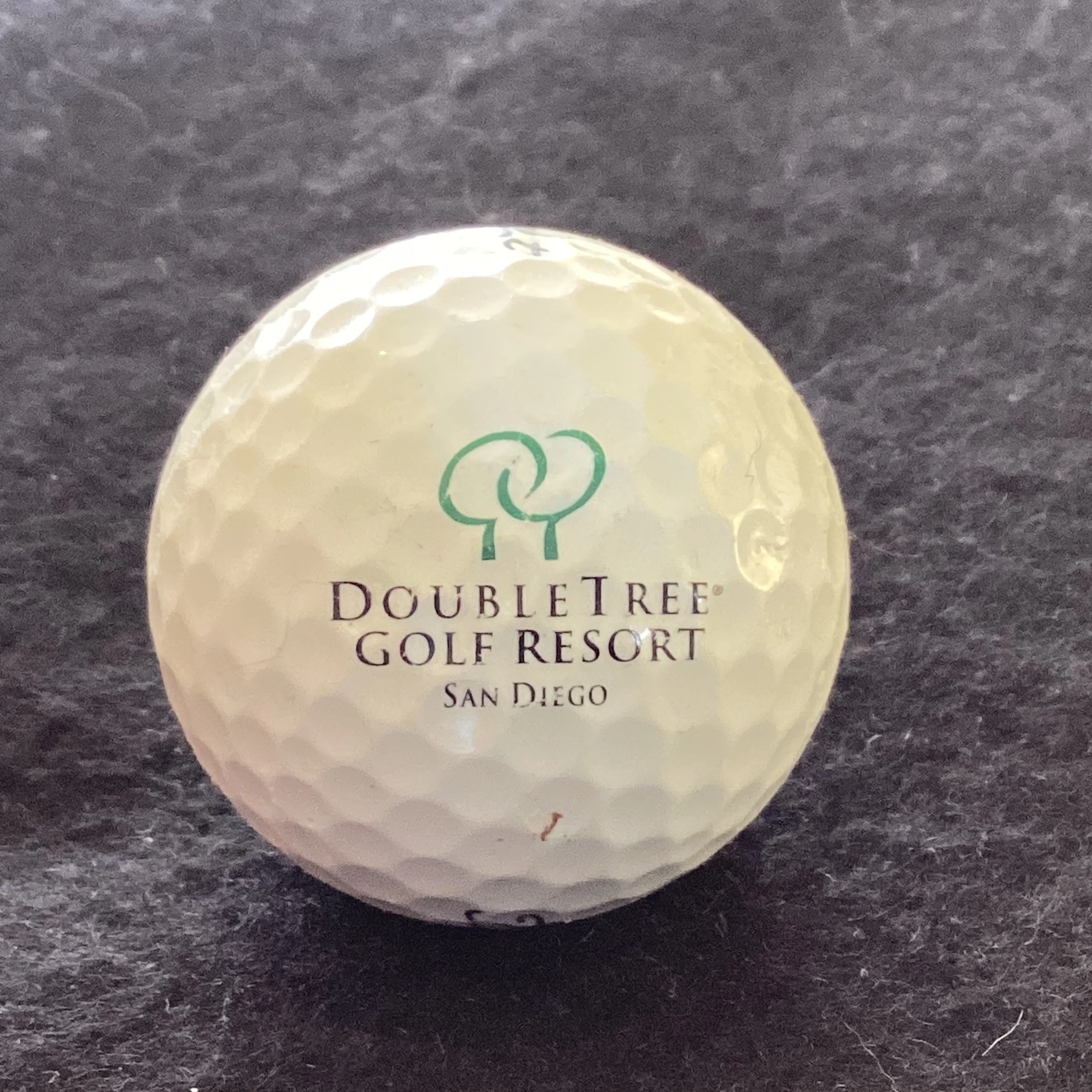 Double Tree Golf Resort 