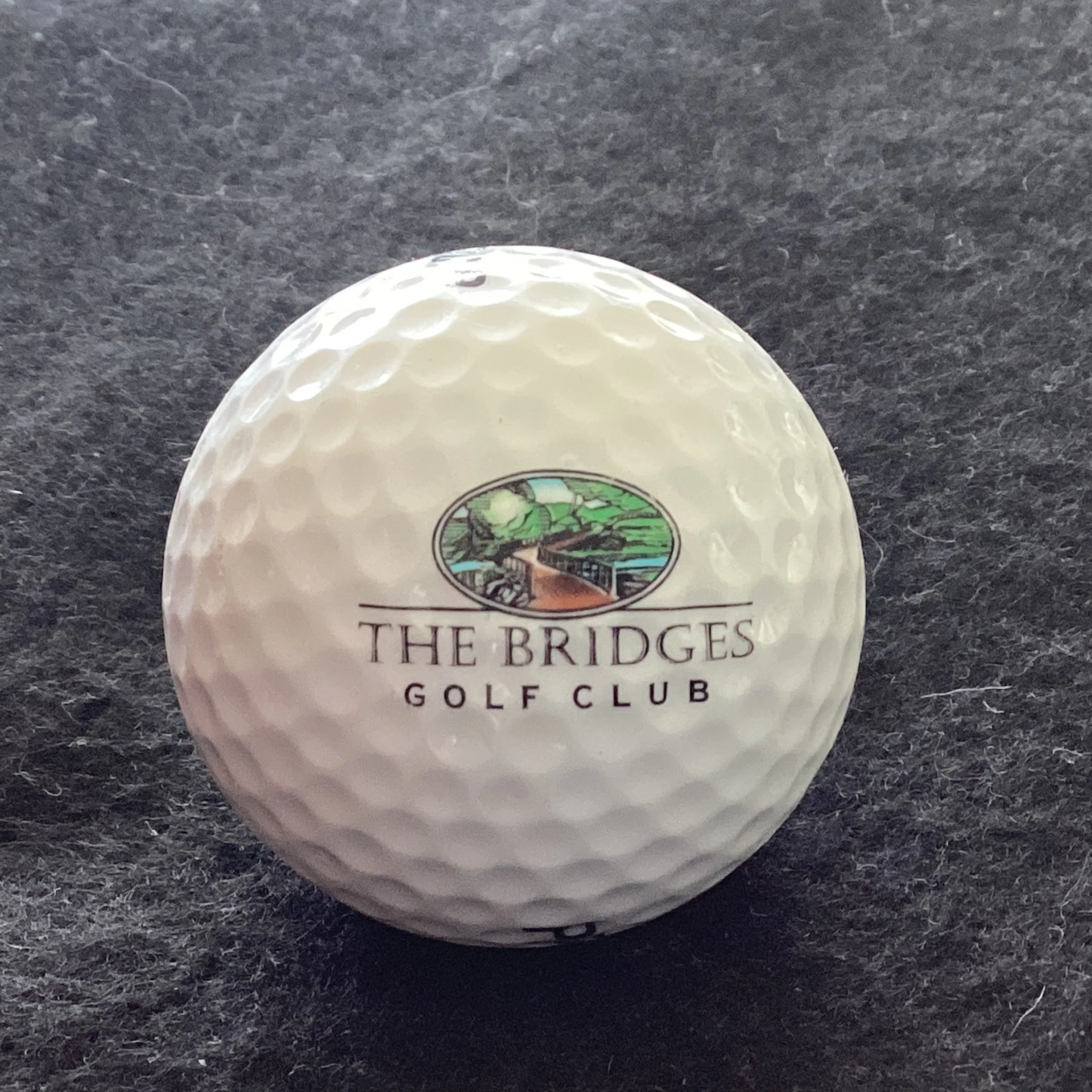 Bridges - The Bridges Golf Club 