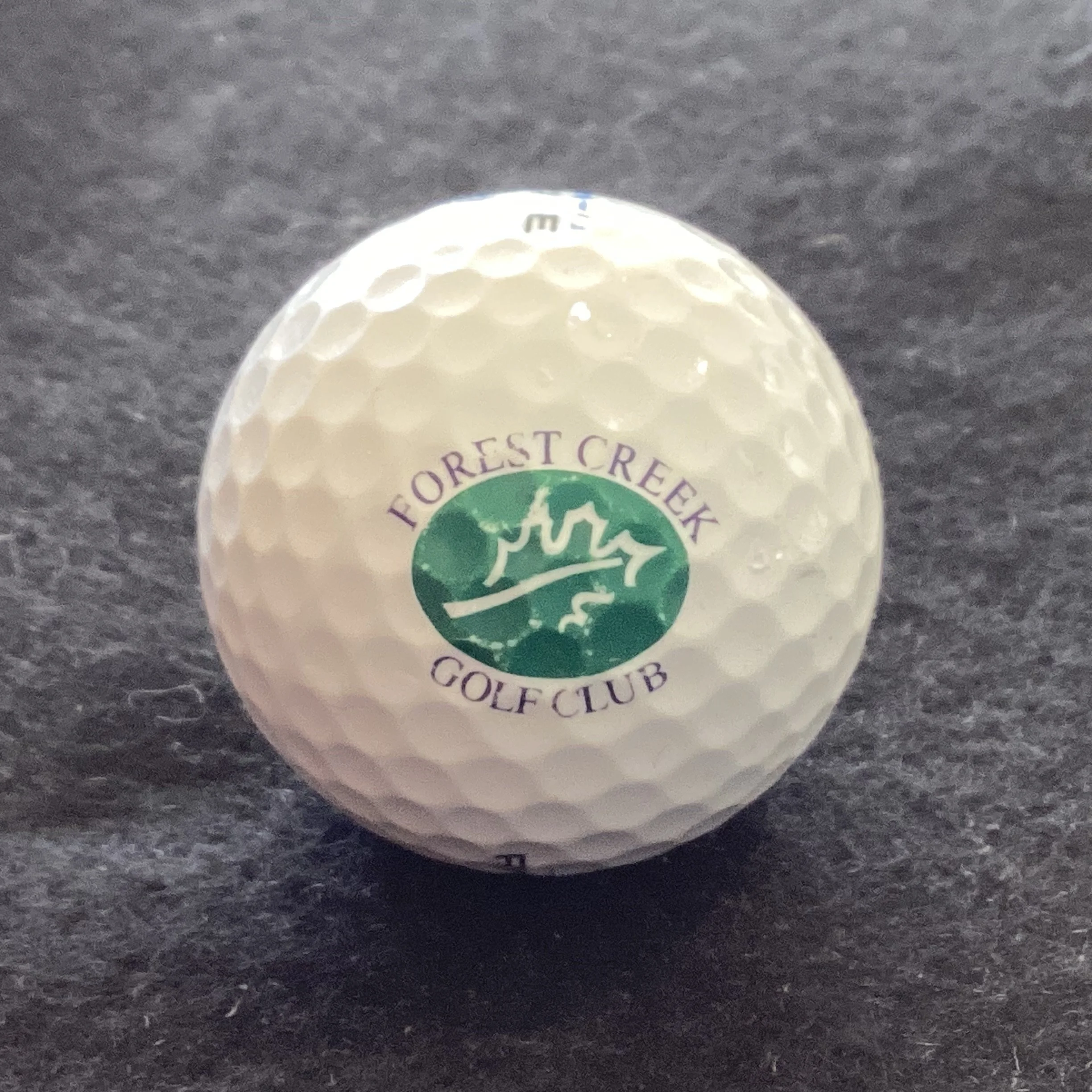 Forest Creek Golf Club 