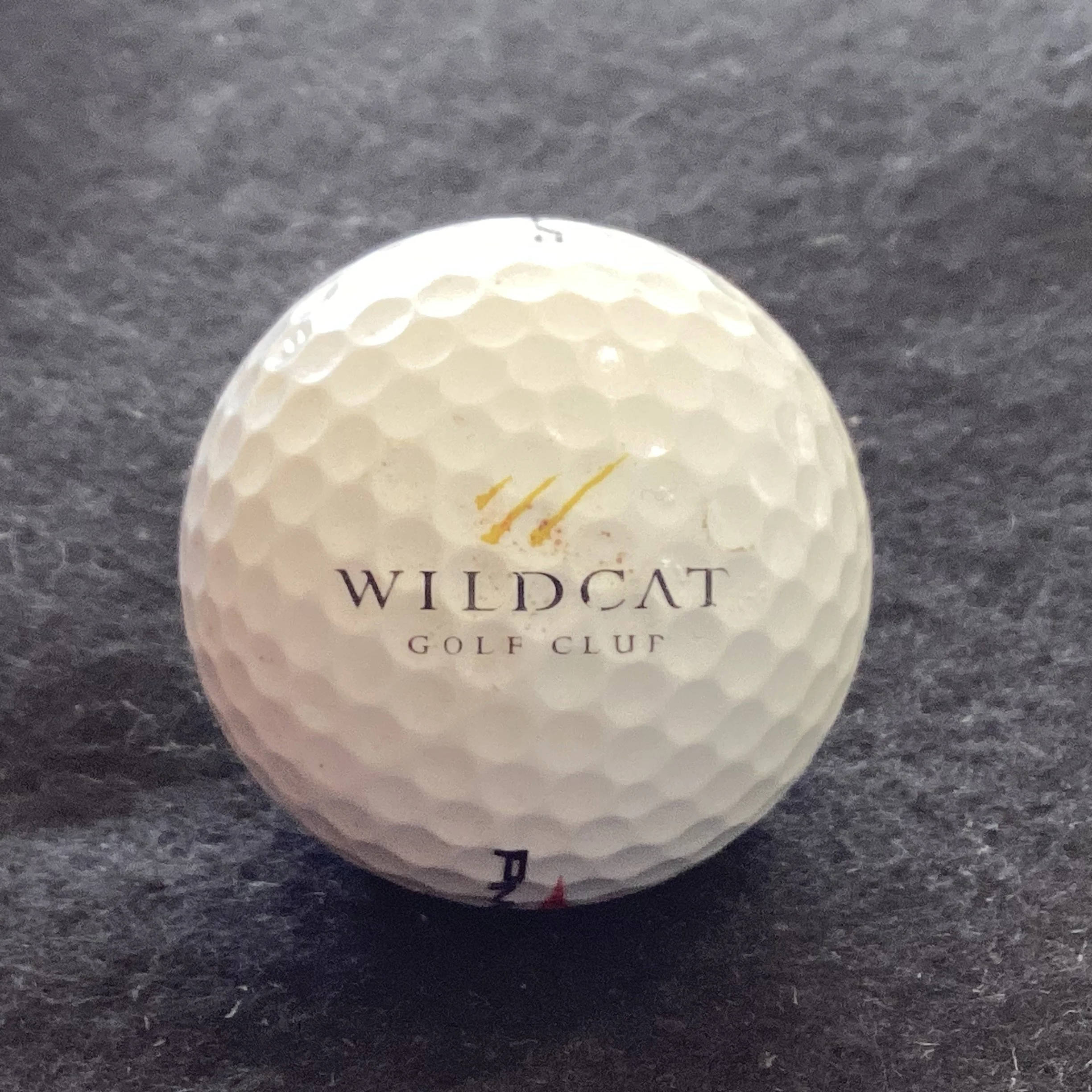 Wildcat Golf Club 