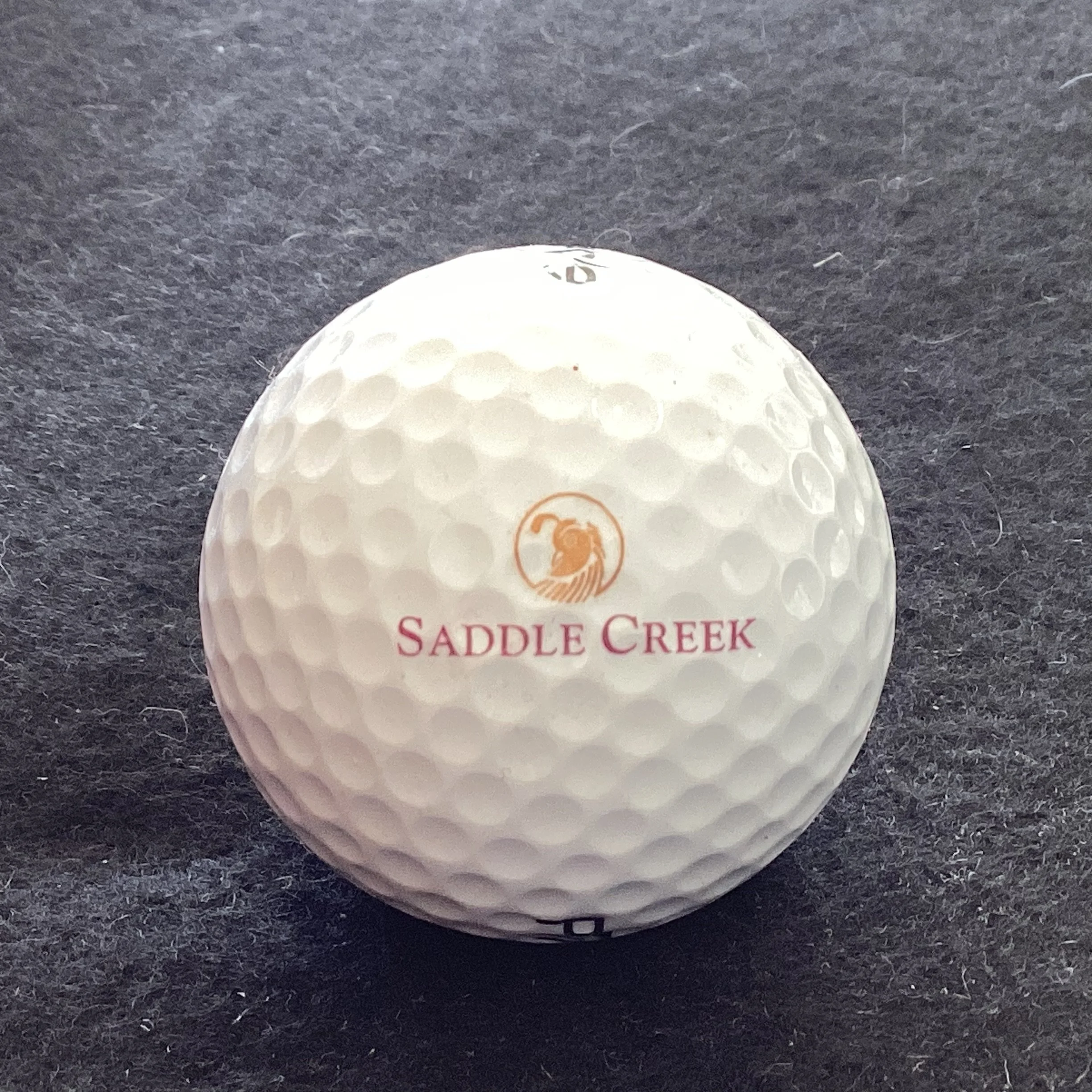 Saddle Creek Golf Club 