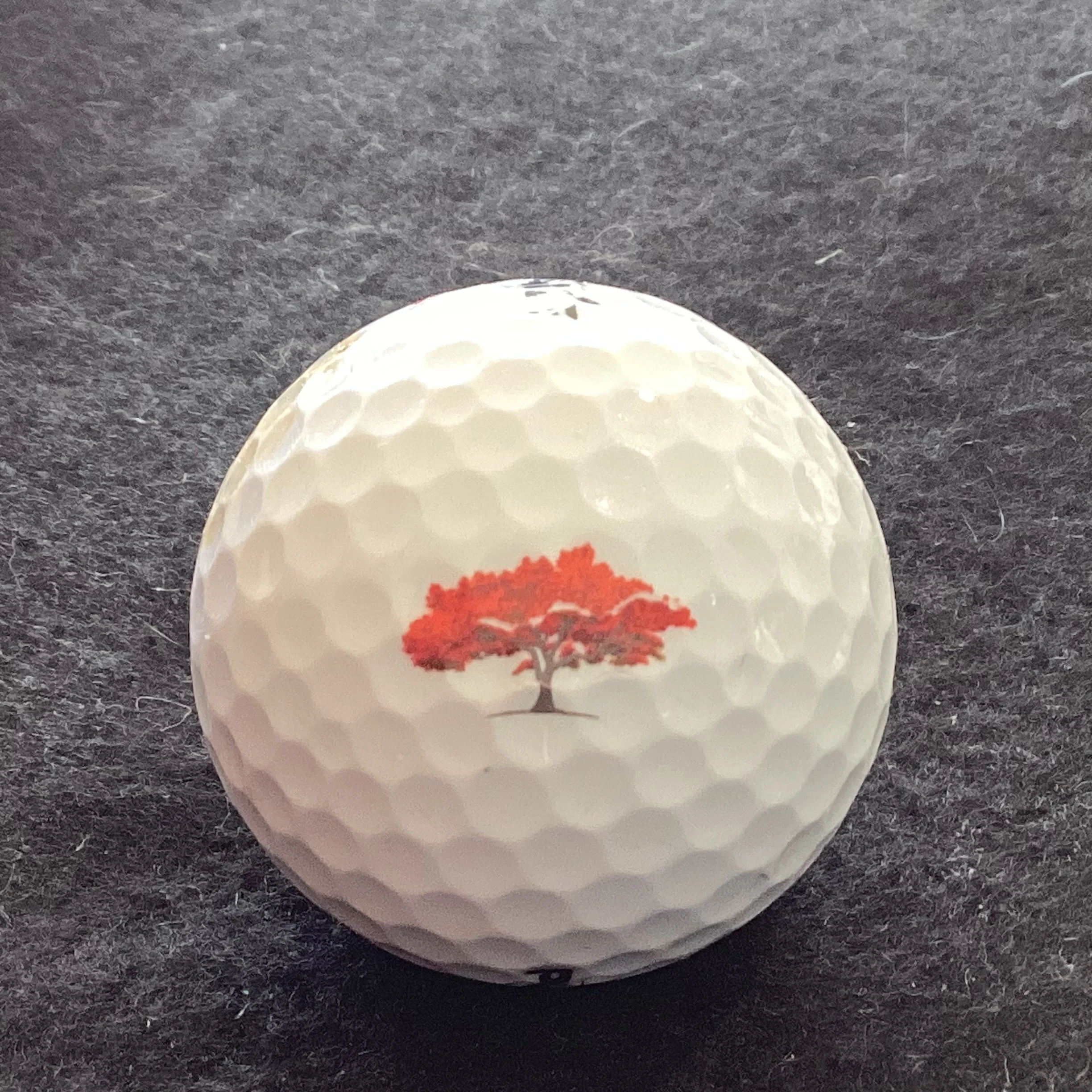 Royal Poinciana Golf Club 