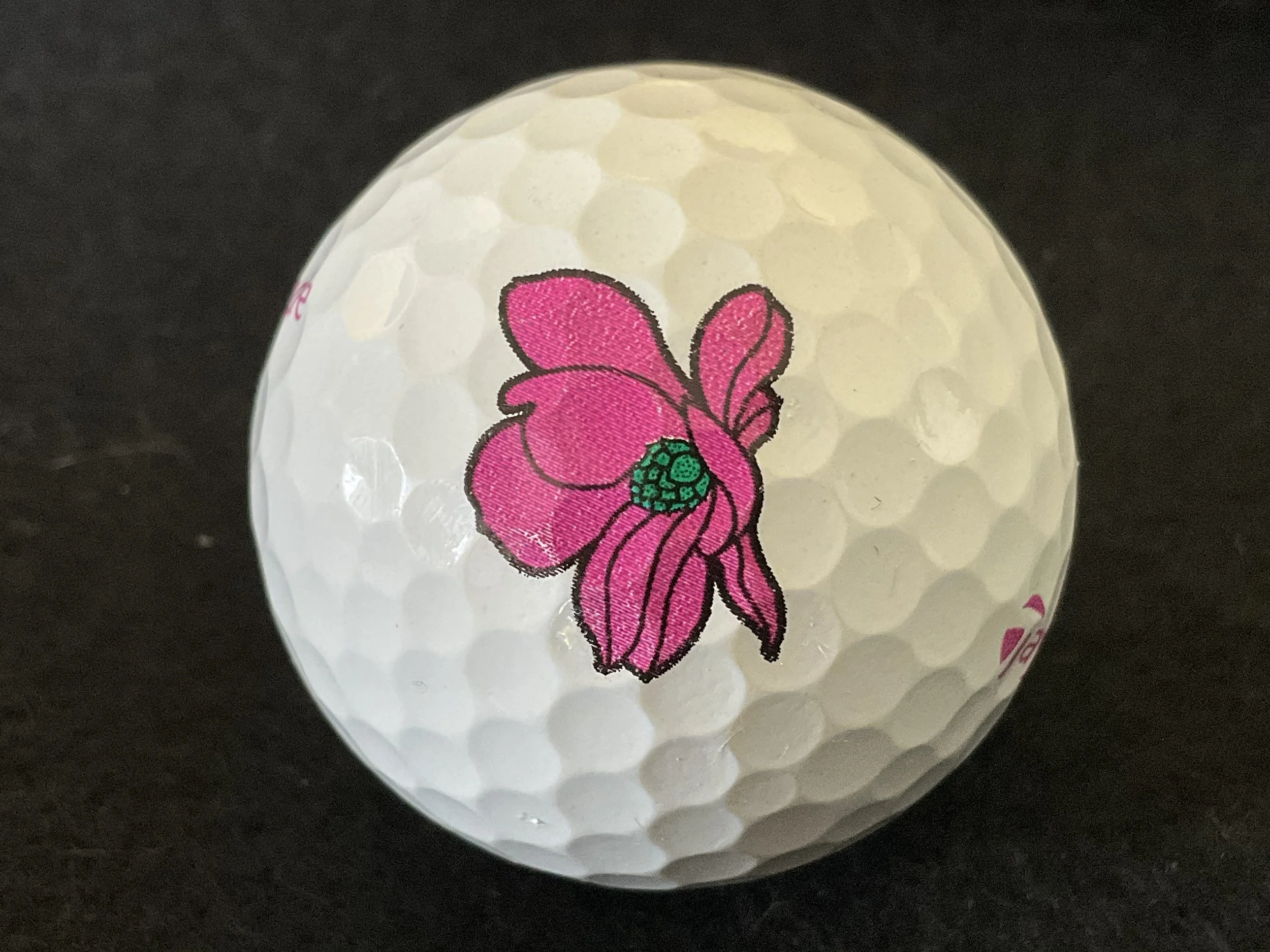 Taylor Made - Masters 