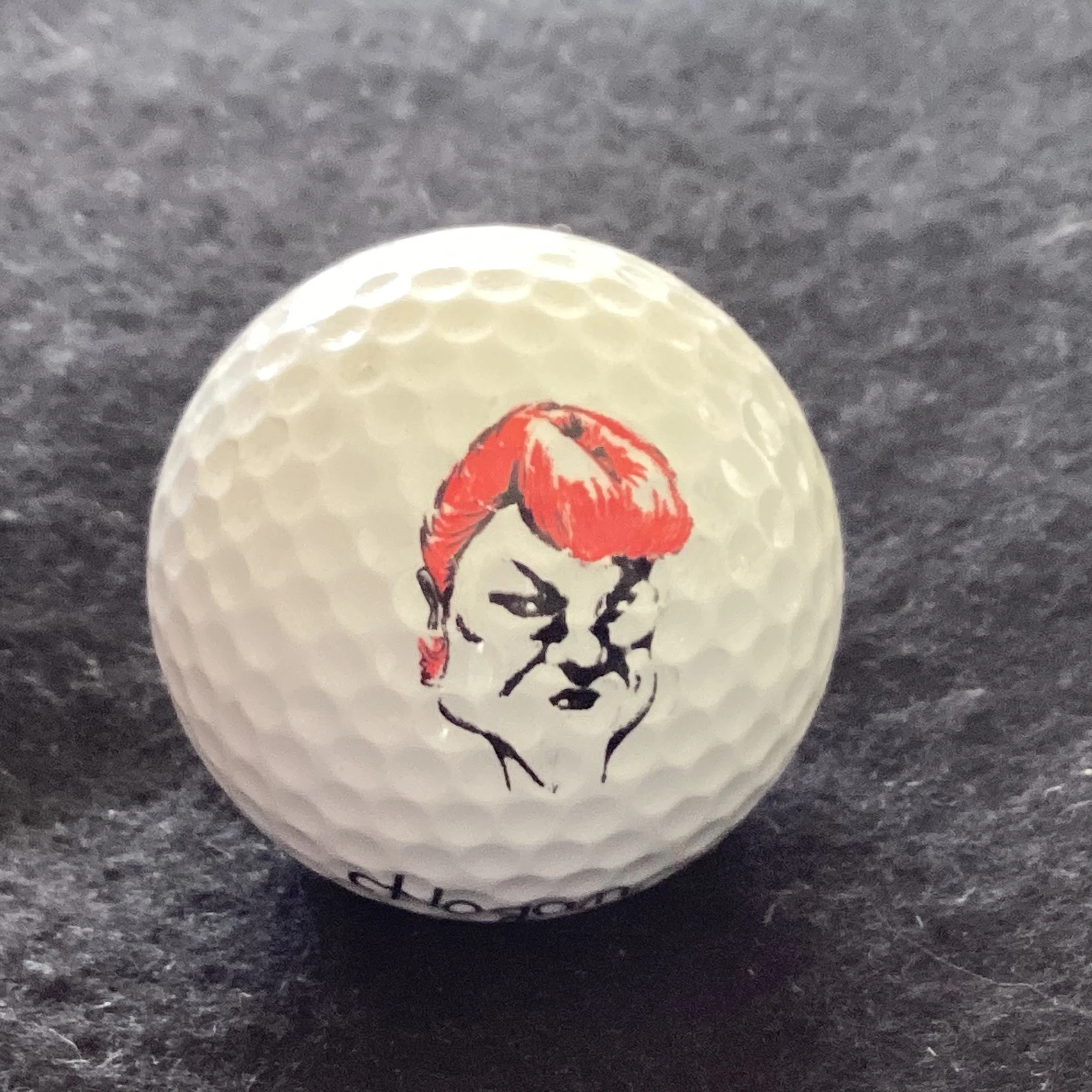 Politician - Pauline Hanson One Nation Party Australia