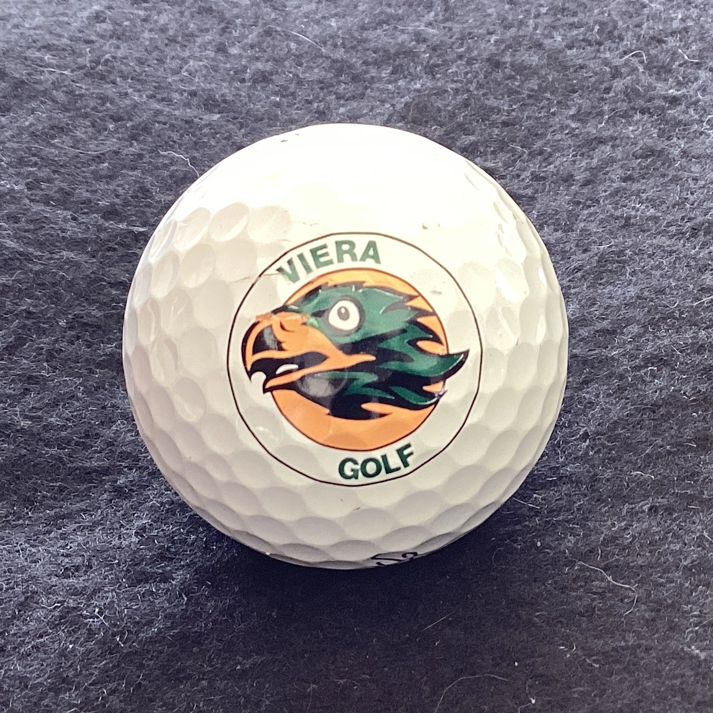 Viera High School Golf Team 