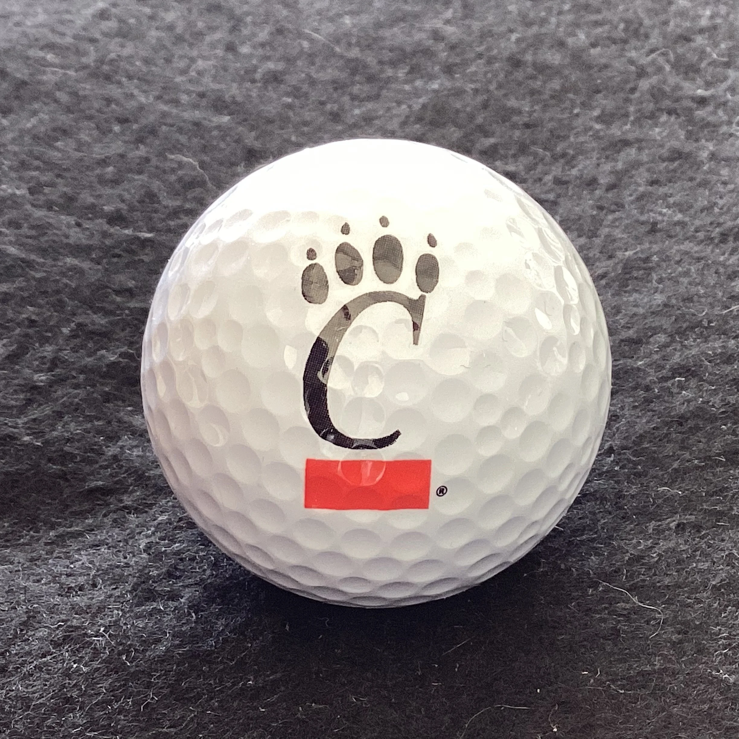 University of Cincinnati Bearcats Golf Team 
