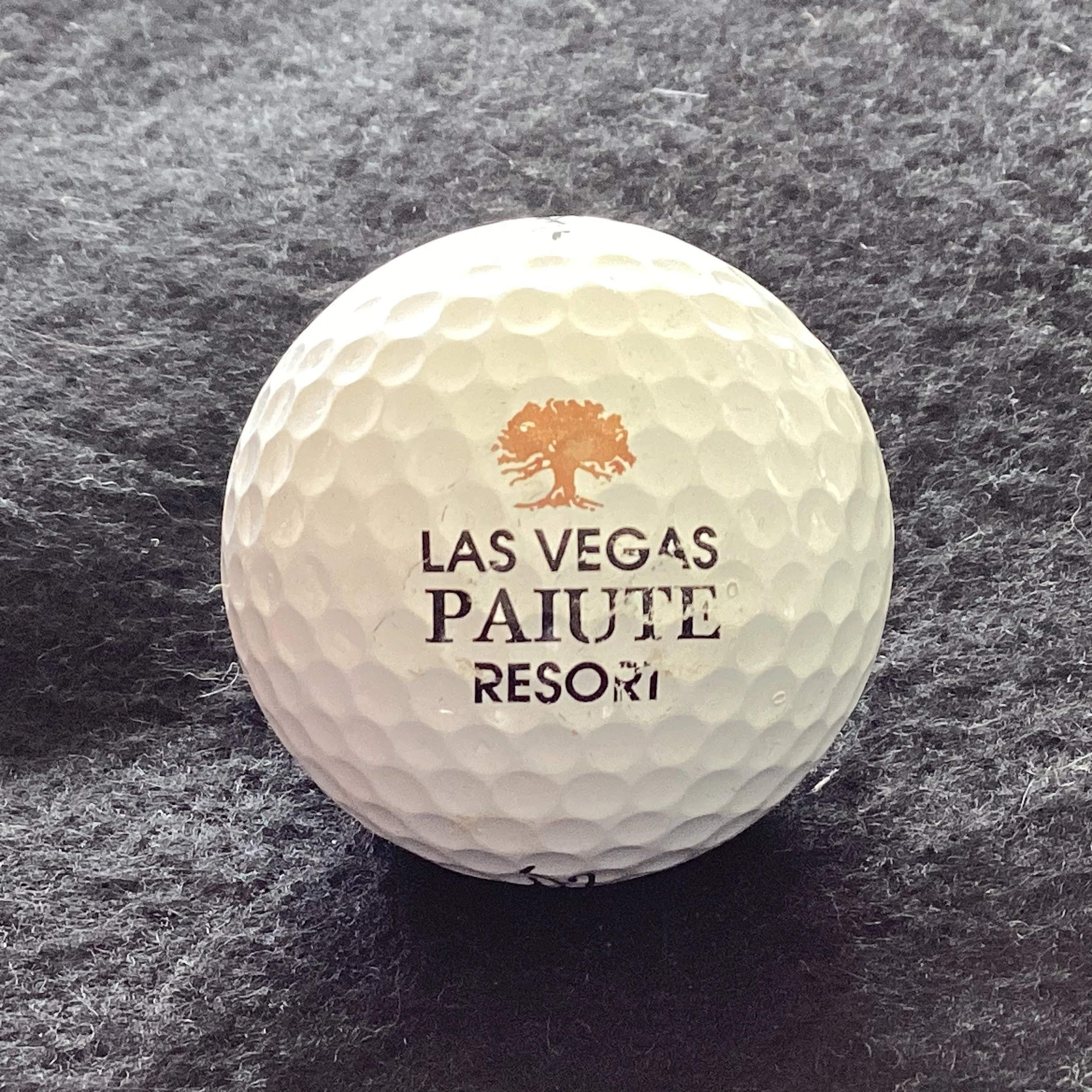 Las Vegas Paiute Resort
