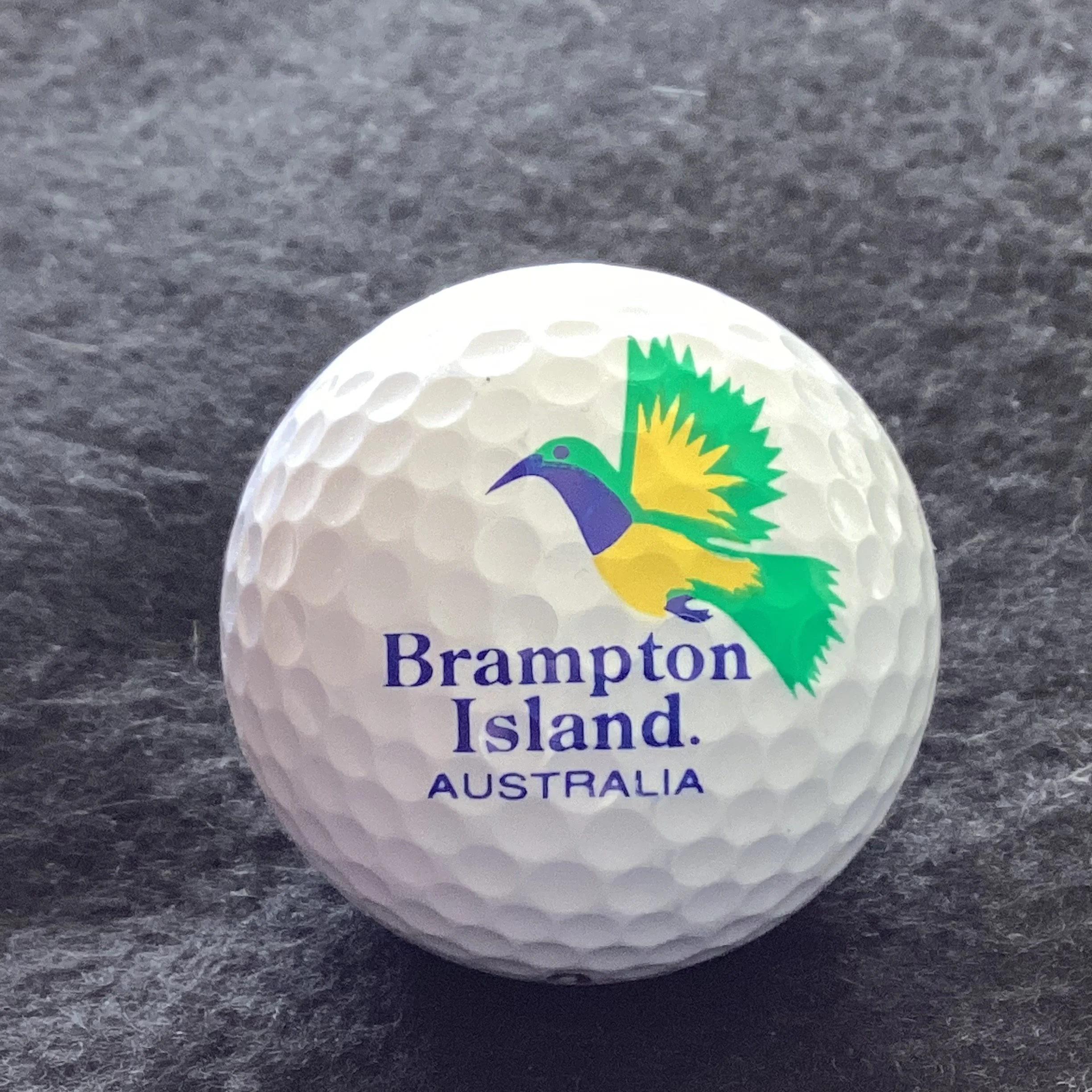 Brampton Island Australia