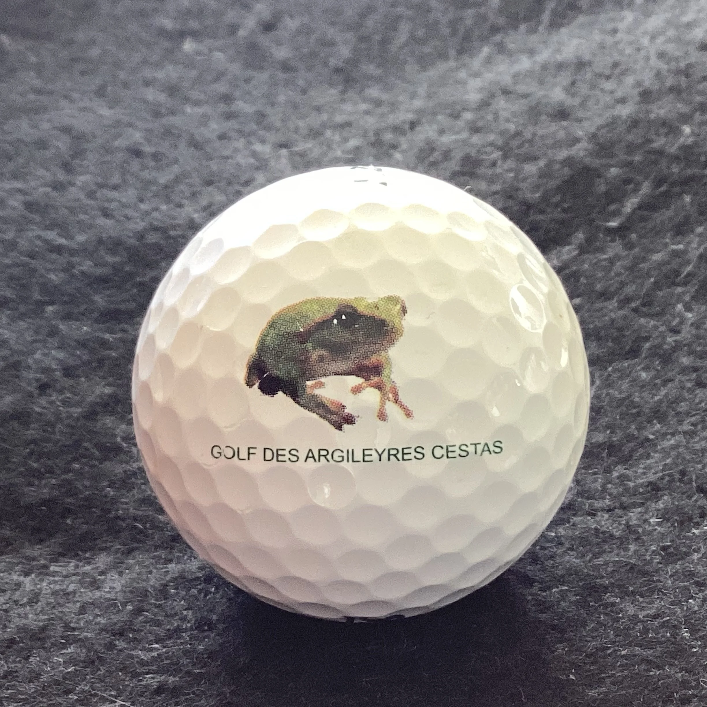 Argileyres - Golf de Argileyres Cestas