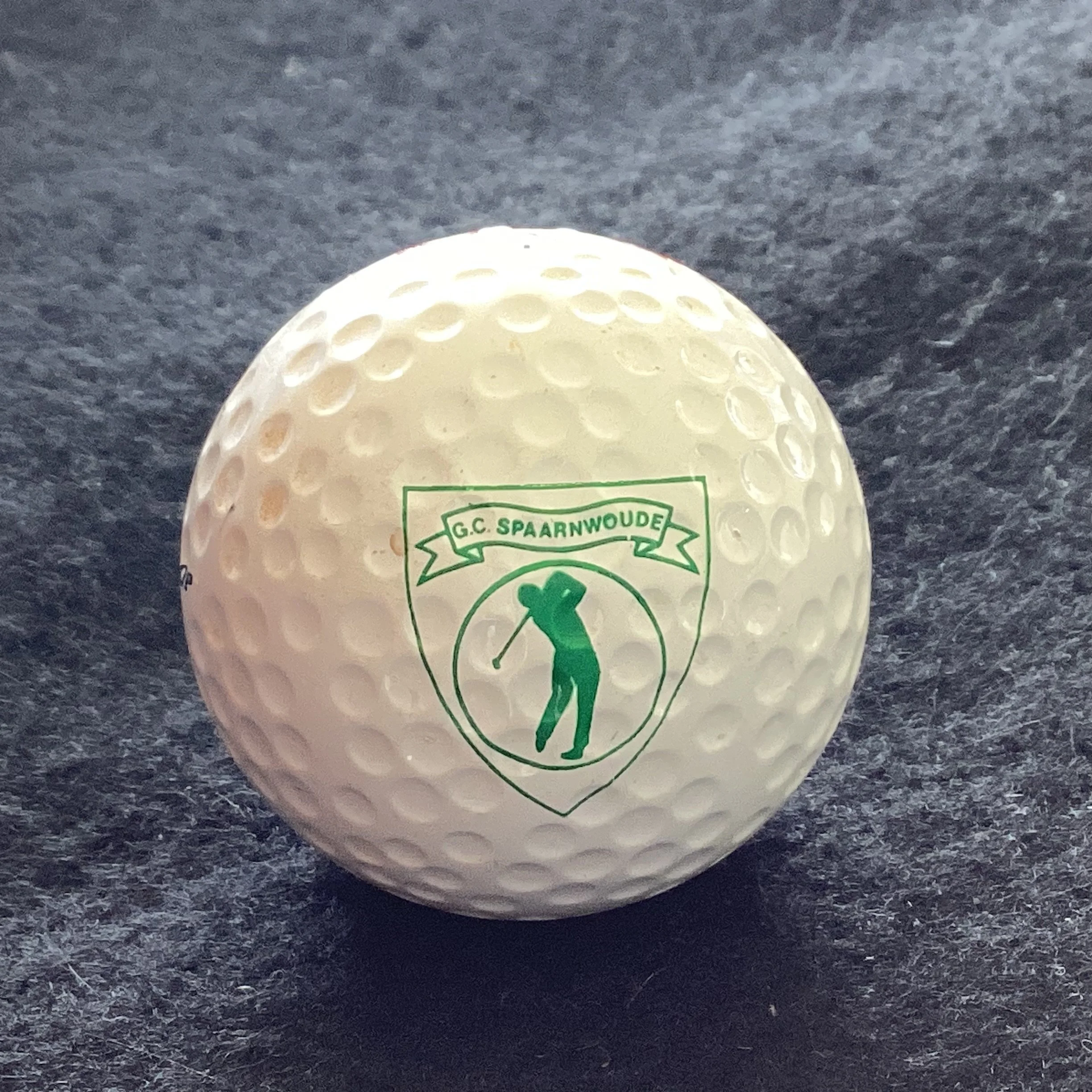 Spaarnwoude Golf Club 