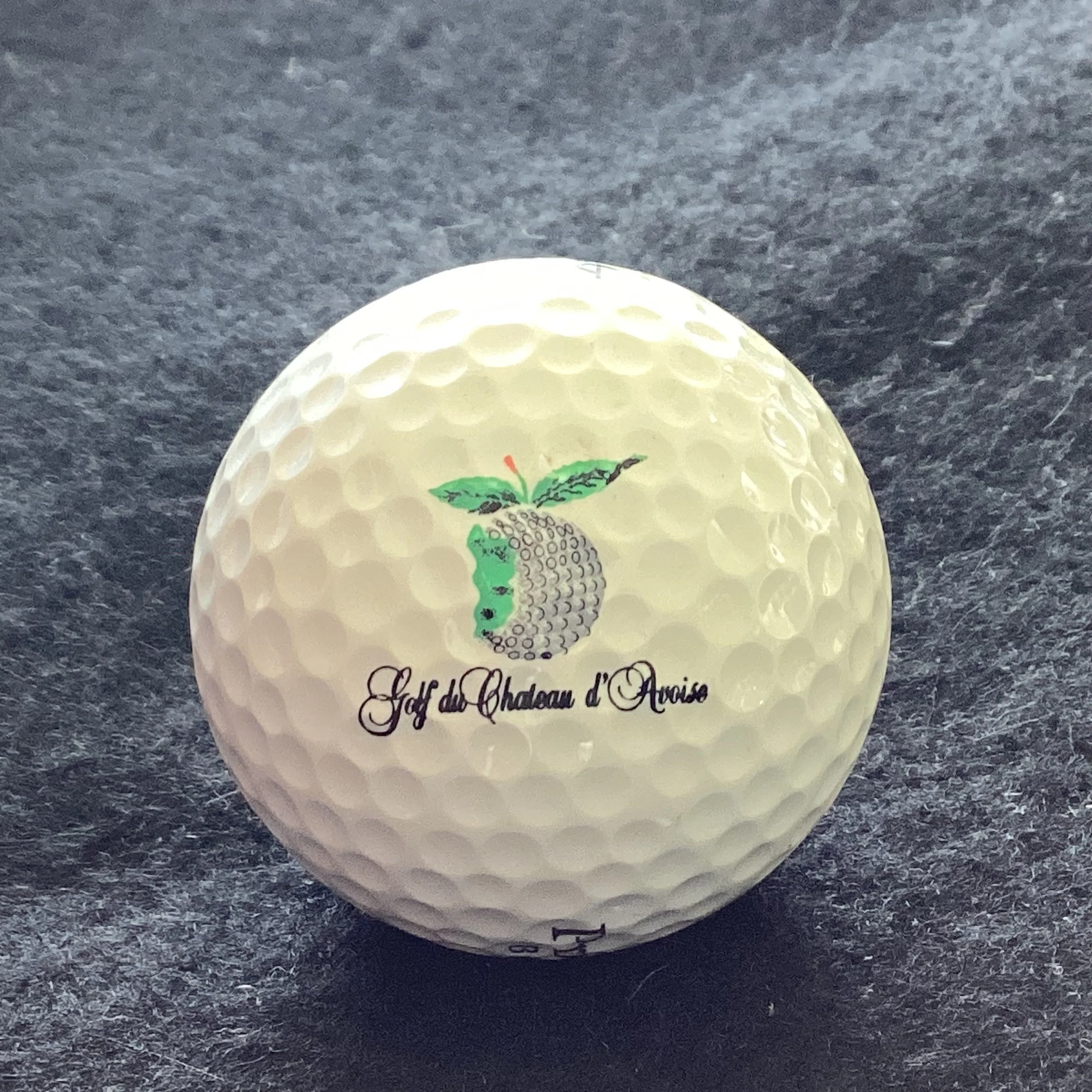 Chateau d’Avoise - Golf du Chateau d’Avoise