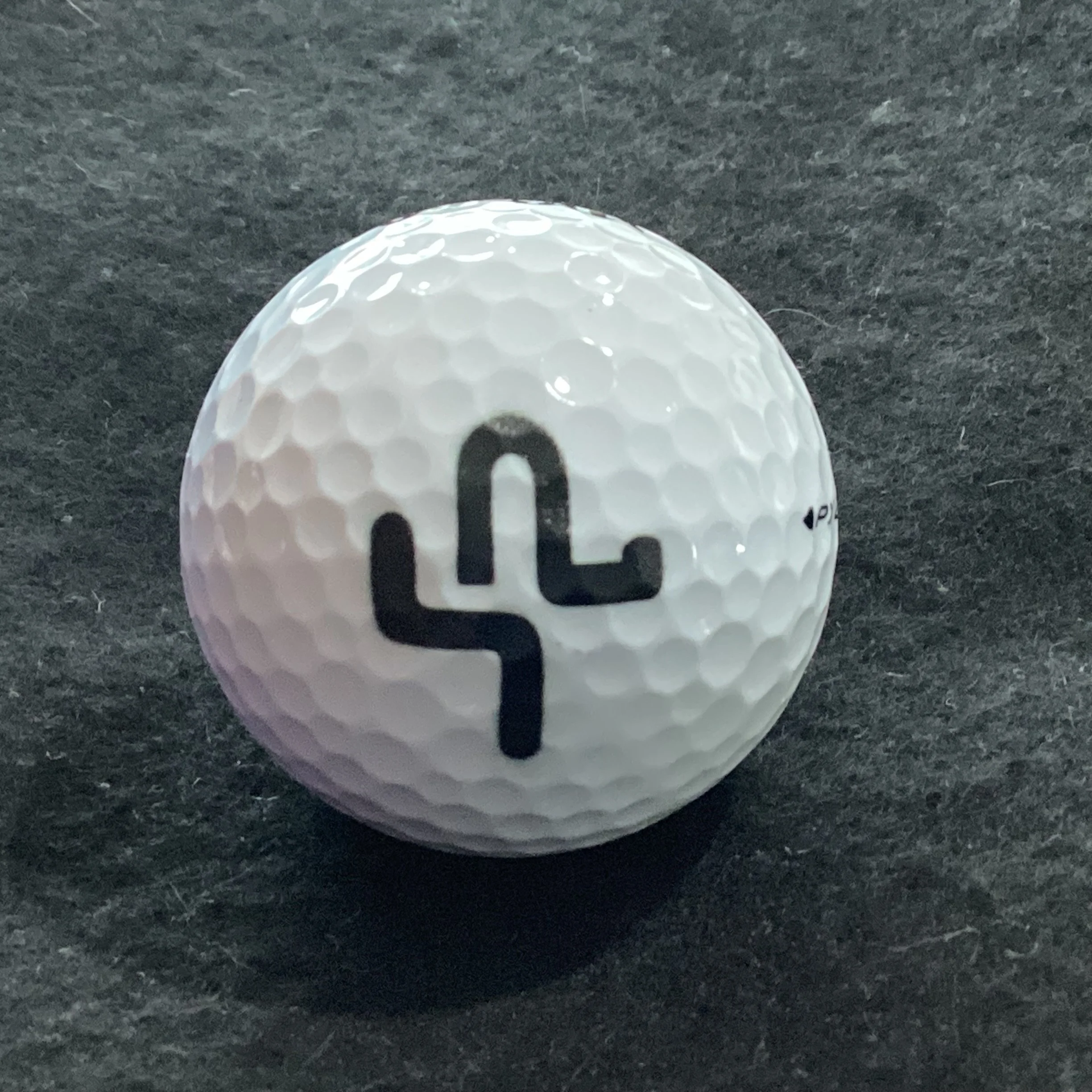 Saguaro Point Golf Course 