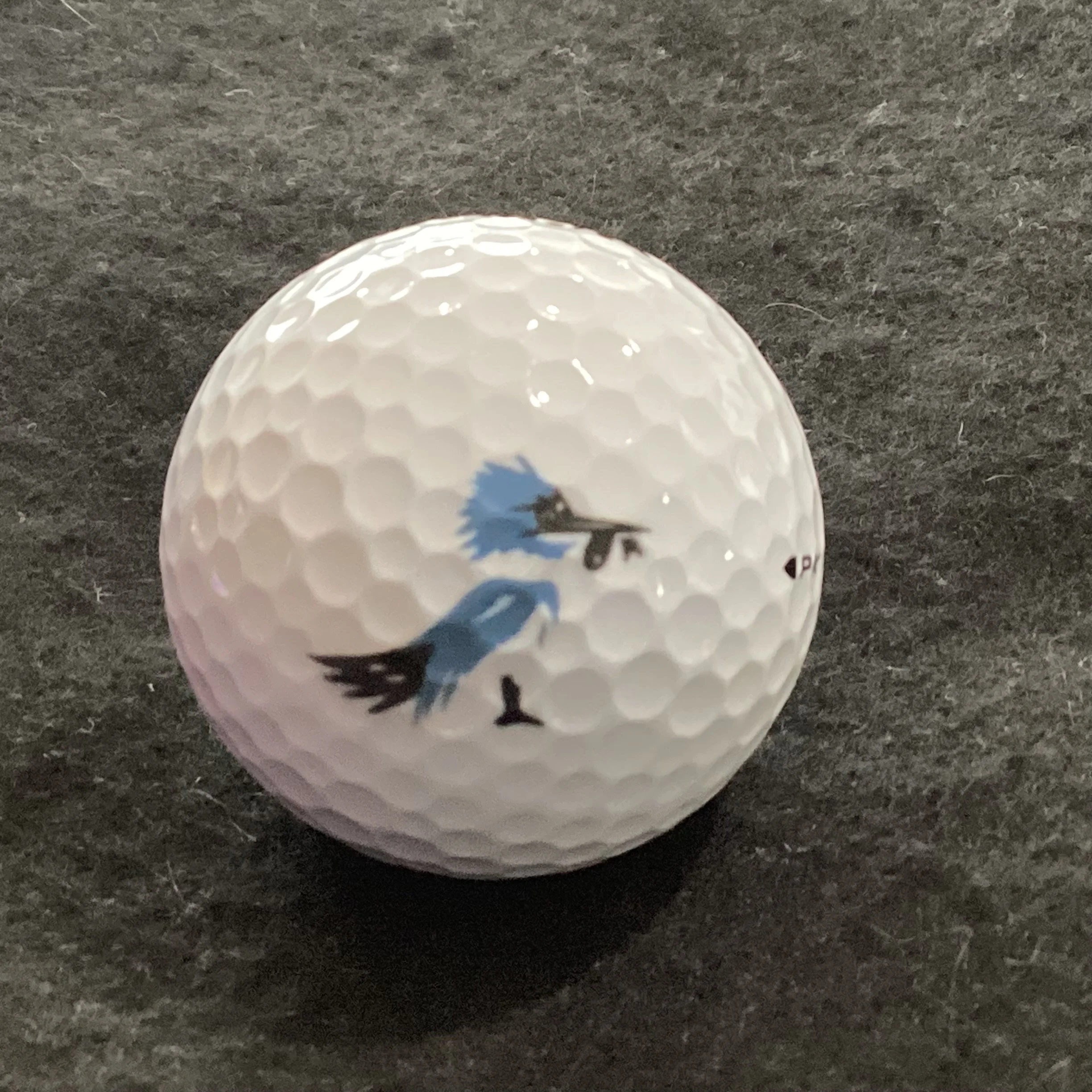 Sharon - The Sharon Golf Club 