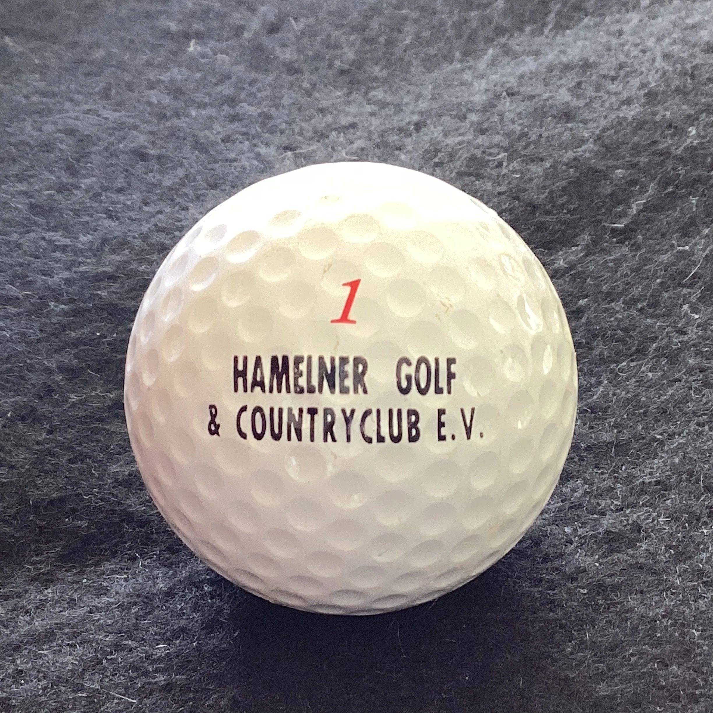 Hamelner Golf and Country Club 
